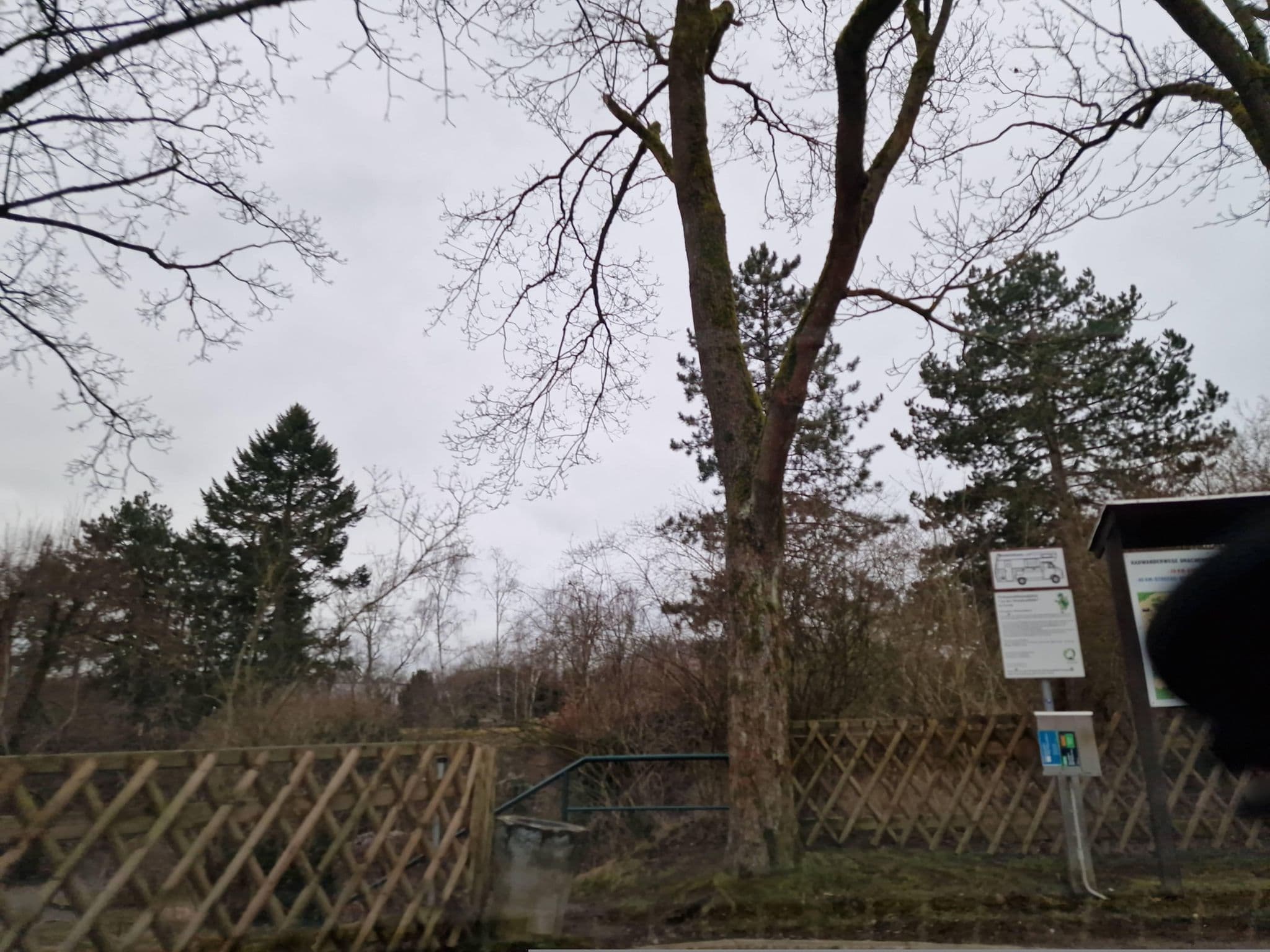 Street view near Am Höhlenpark - Syrau, Syrau — © canislupus (CC BY-SA · Mapillary)