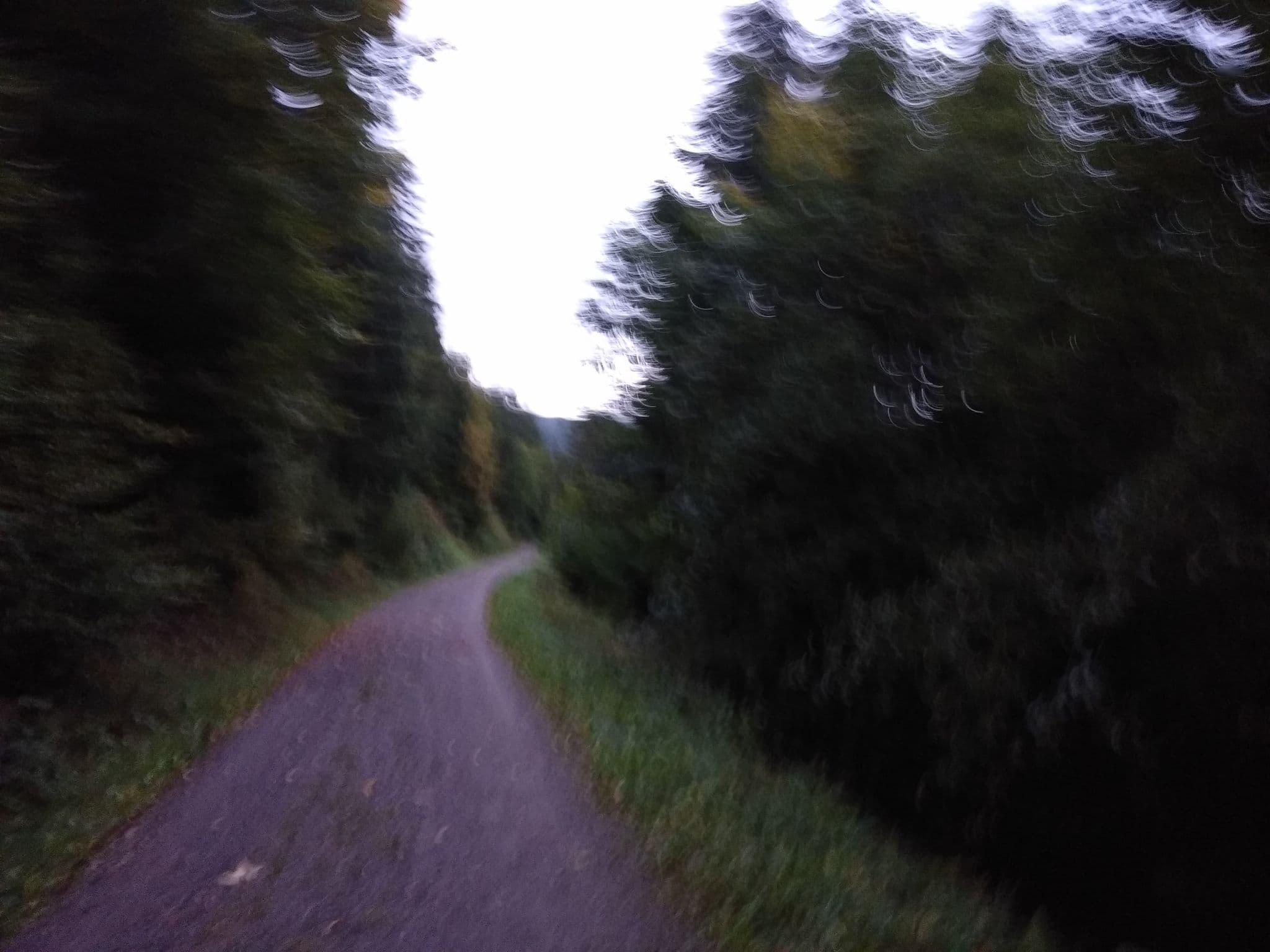 Street view near Sonnenberg, Hinterzarten — © sk53_quint (CC BY-SA · Mapillary)