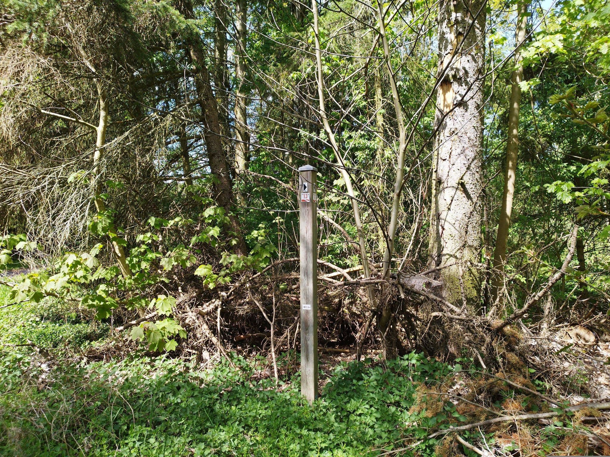 Street view near Reit- und Landhaus Weitzgrund, Bad Belzig — © ber319 (CC BY-SA · Mapillary)