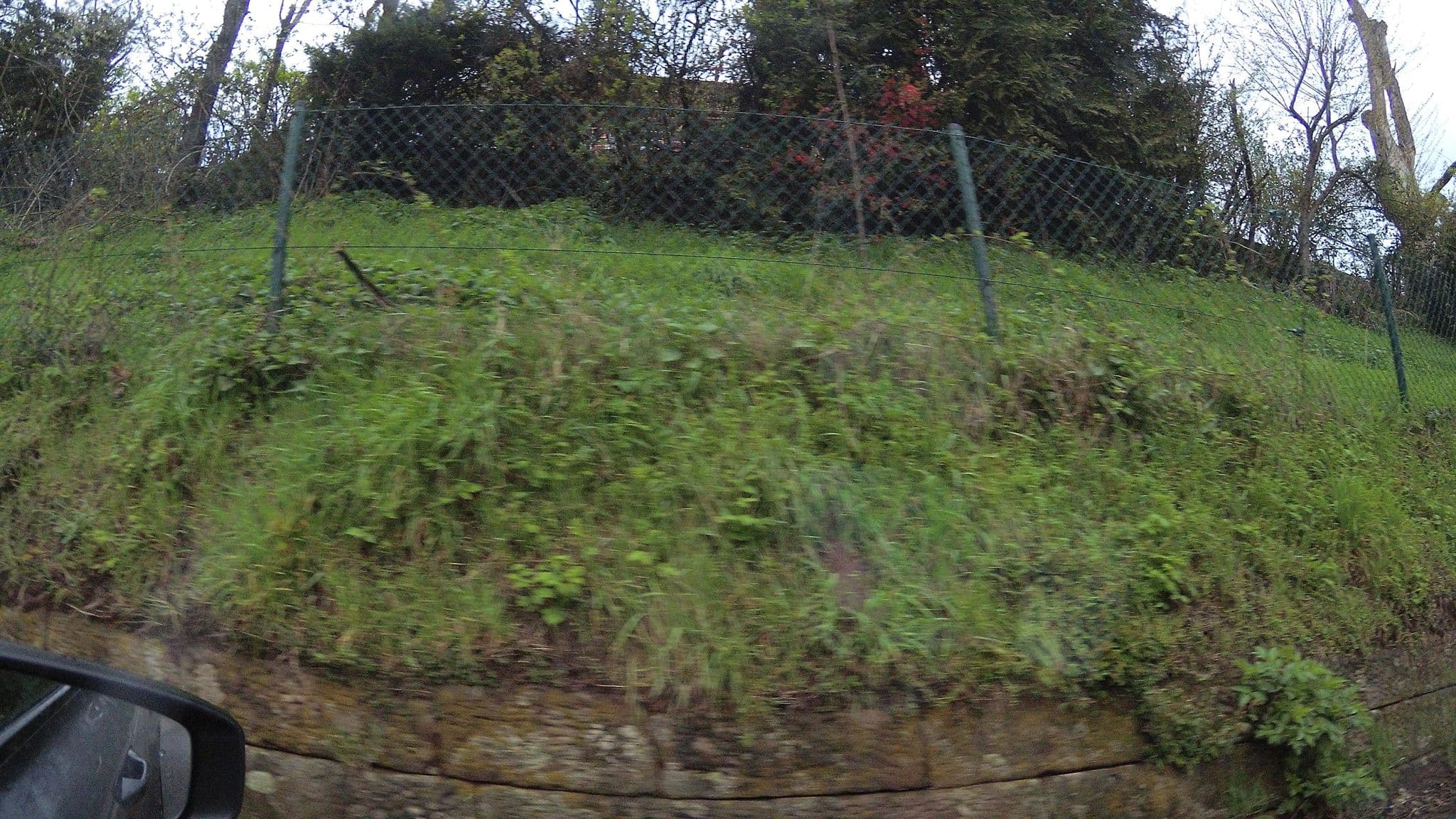 Street view near Landgasthof Grafenfels, Lemberg — © teddy73 (CC BY-SA · Mapillary)