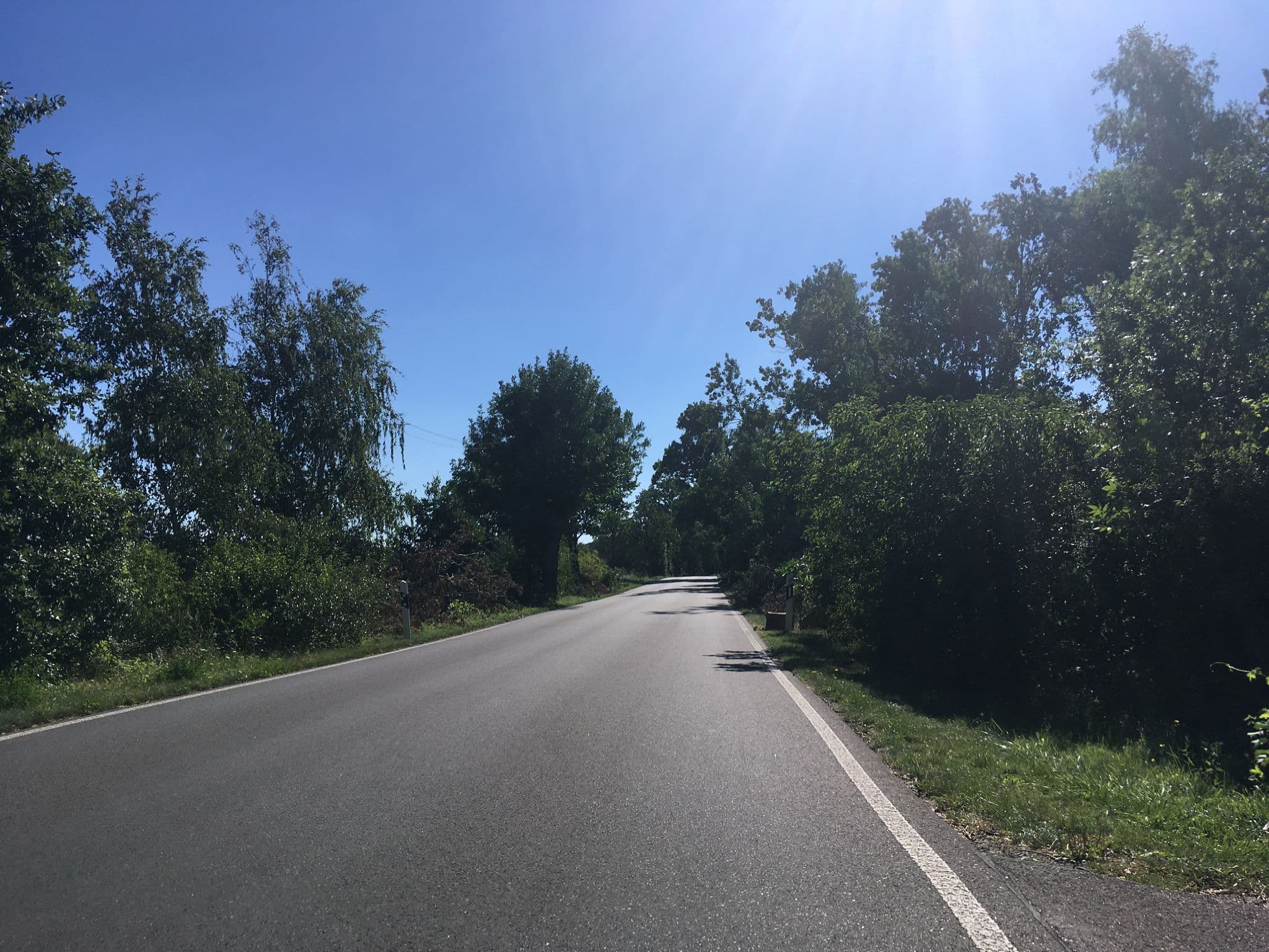 Street view near Fjordpferdehof, Altlandsberg — © carlheinz (CC BY-SA · Mapillary)