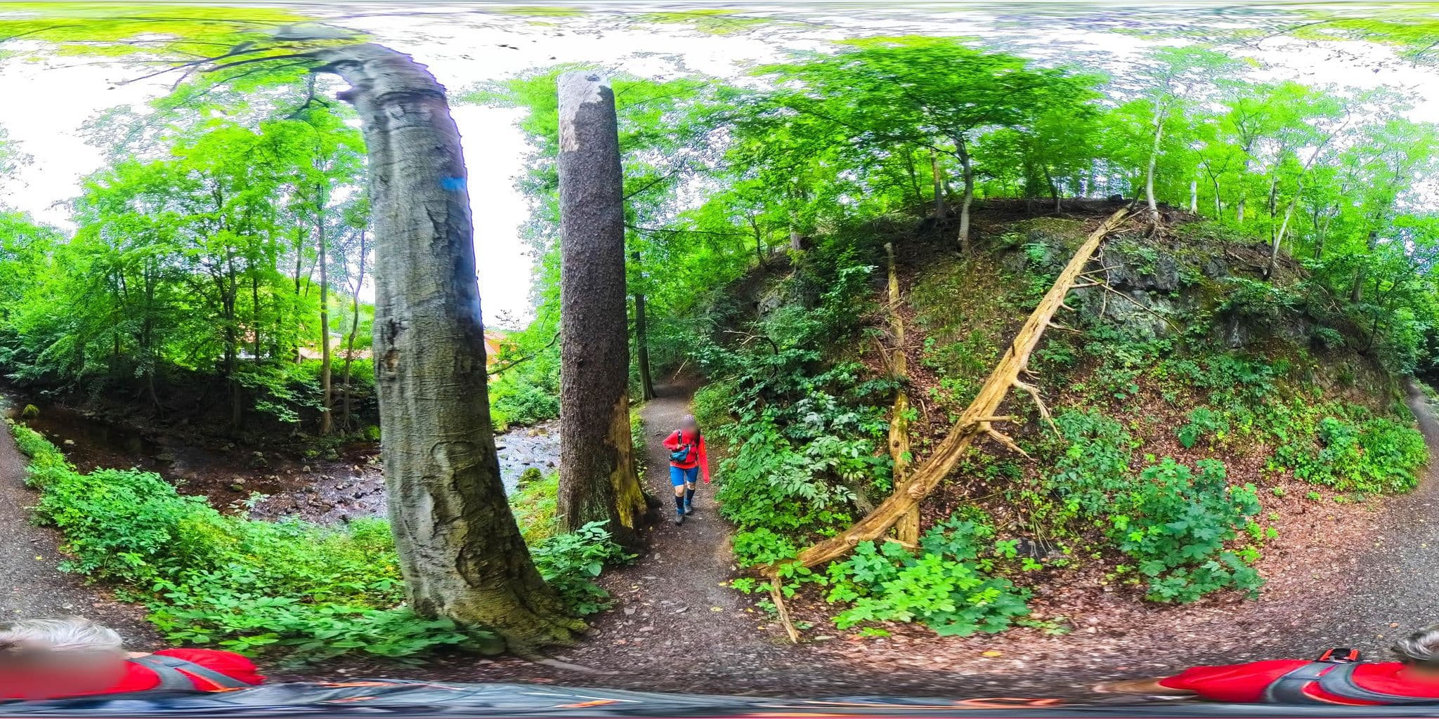 Street view near Ferienhäuser am Brocken - Haus 5, Ilsenburg — © Hol_Ger (CC BY-SA · Mapillary)
