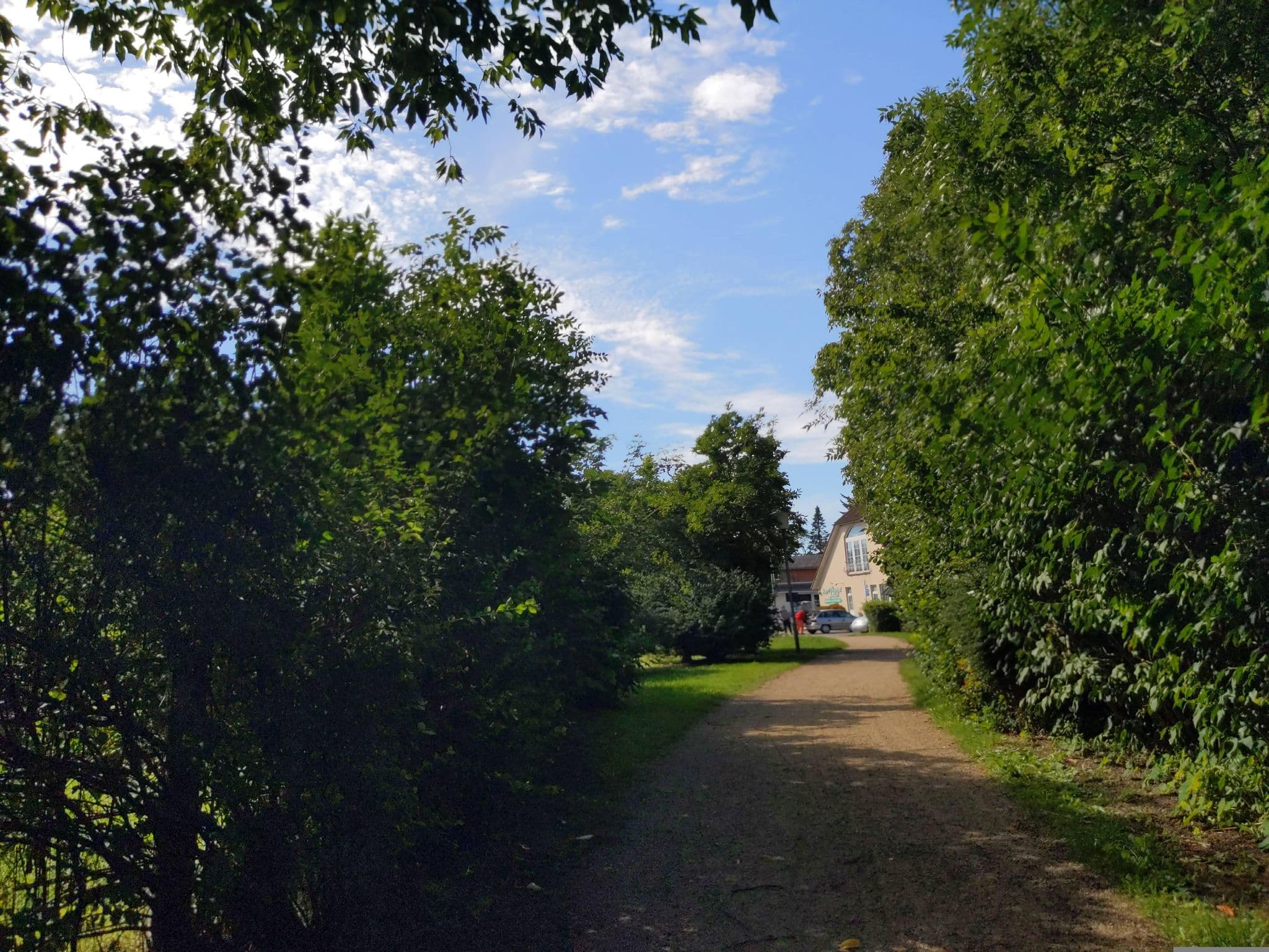 Street view near Seeappelhof, Bosau — © rasmustravemnd (CC BY-SA · Mapillary)