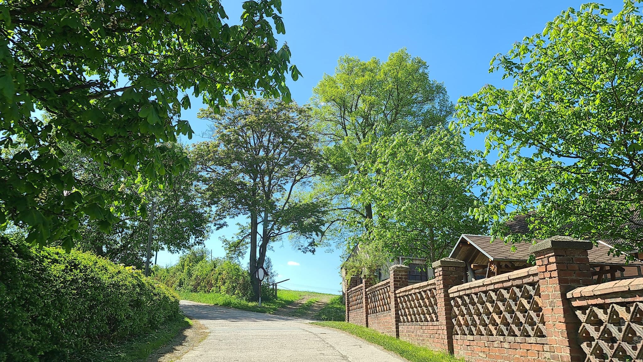 Street view near Kastanienhof, Zeulenroda-Triebes — © canislupus (CC BY-SA · Mapillary)