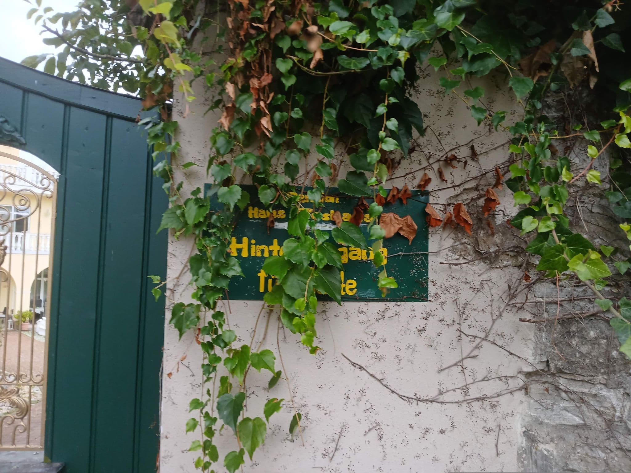 Street view near Pension „Haus Toskana“, Bad Frankenhausen — © hoxel (CC BY-SA · Mapillary)
