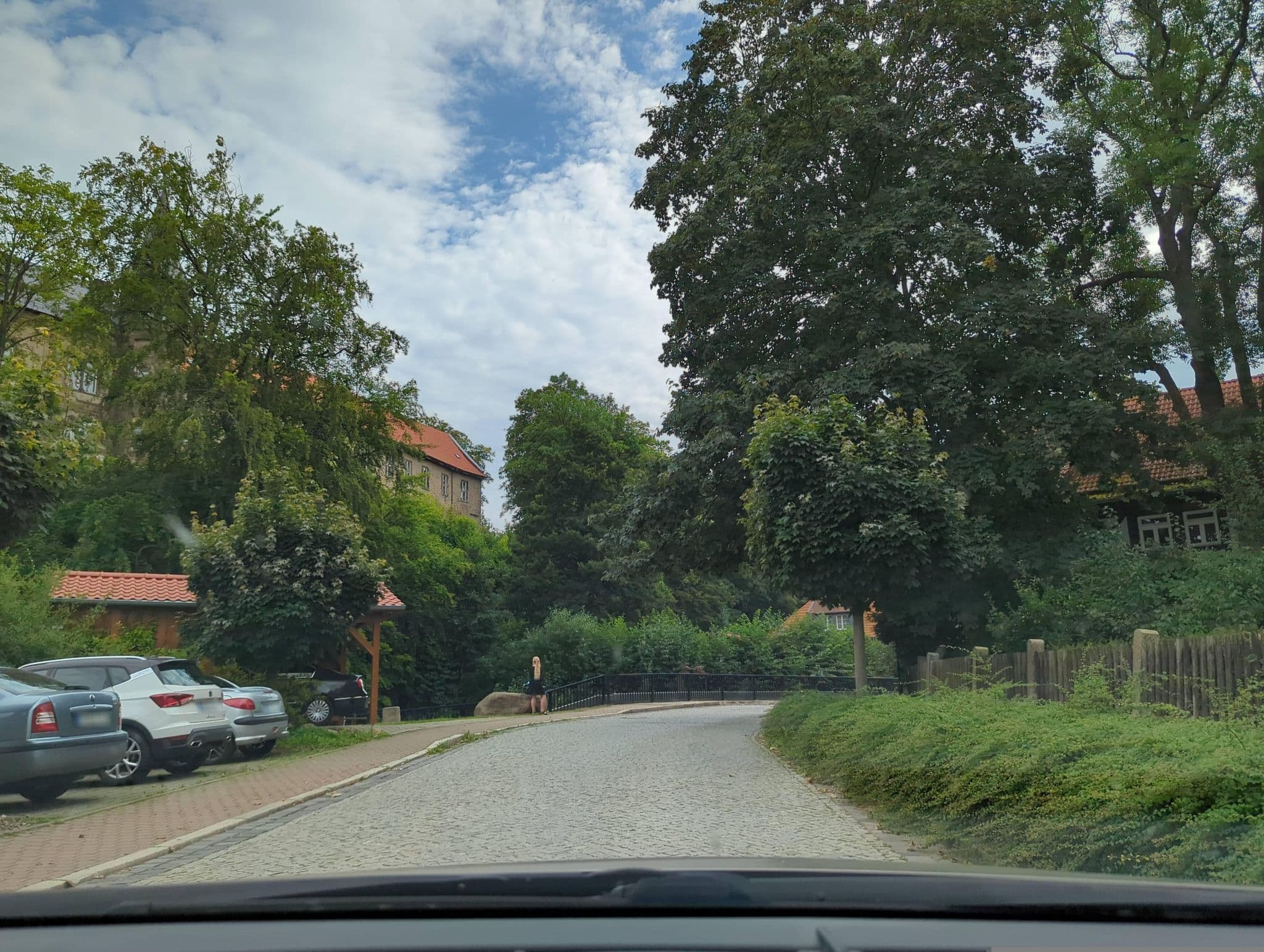 Street view near Schloss-Chalet, Ilsenburg — © AlexSpritze (CC BY-SA · Mapillary)
