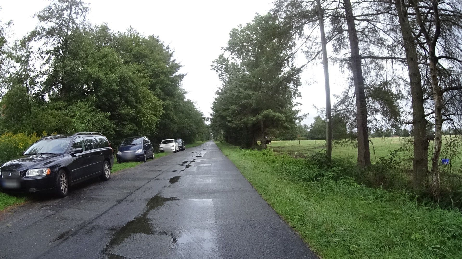 Street view near Frauenferienhof Ostfriesland e.V., Wiesmoor — © ramap (CC BY-SA · Mapillary)
