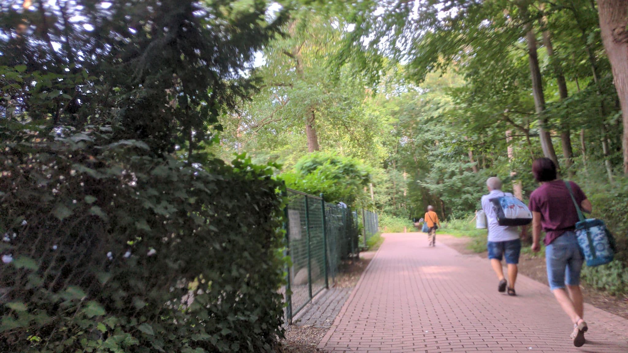 Street view near Am Strand, Ostseebad Boltenhagen — © rasmustravemnd (CC BY-SA · Mapillary)