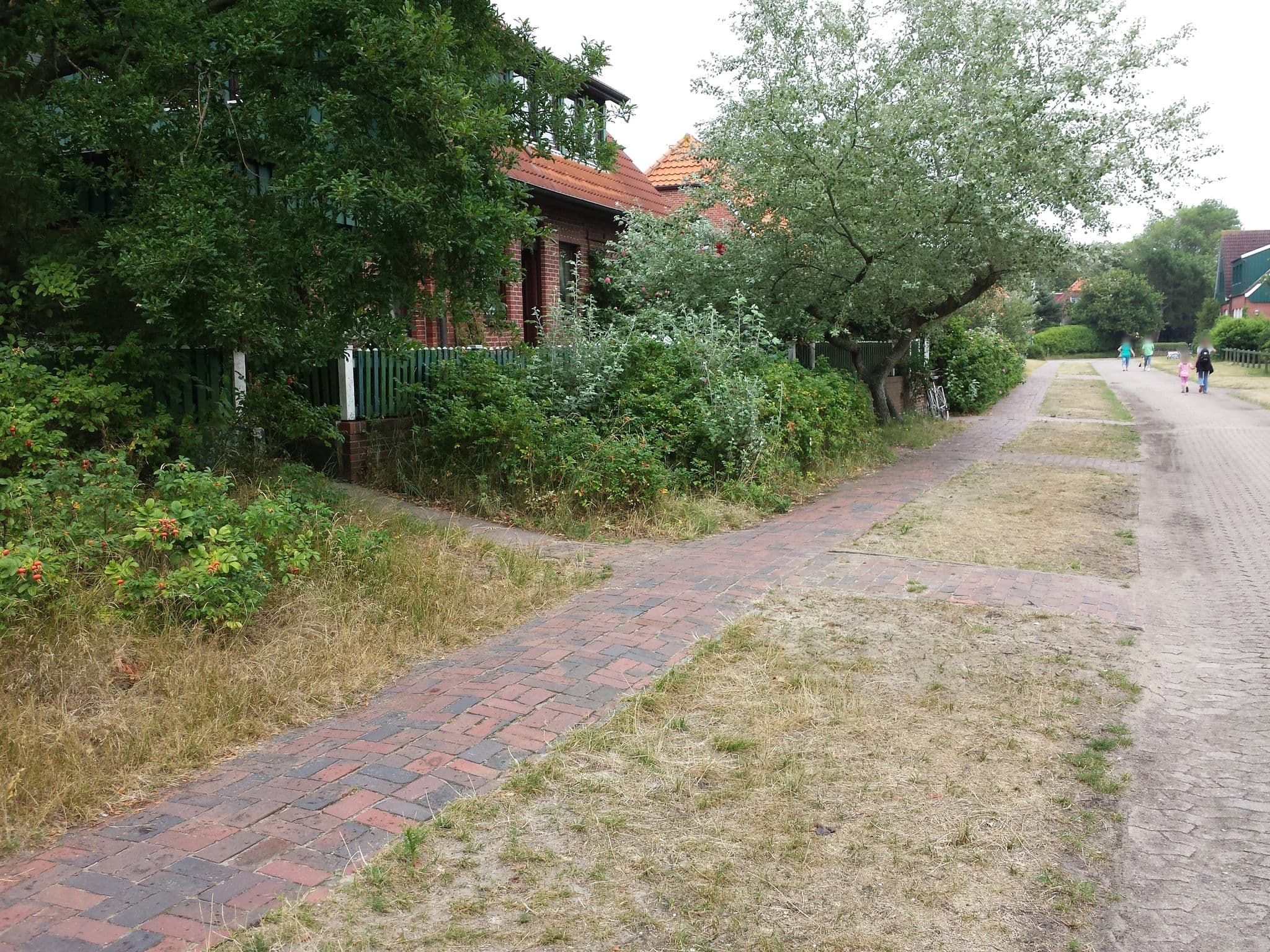 Street view near Lütte Hütt, Neuharlingersiel