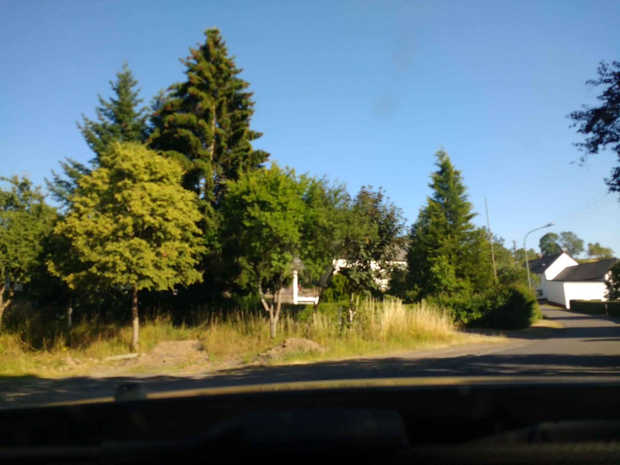 Street view near Manderscheider Straße, Manderscheid — © igdb (CC BY-SA · Mapillary)