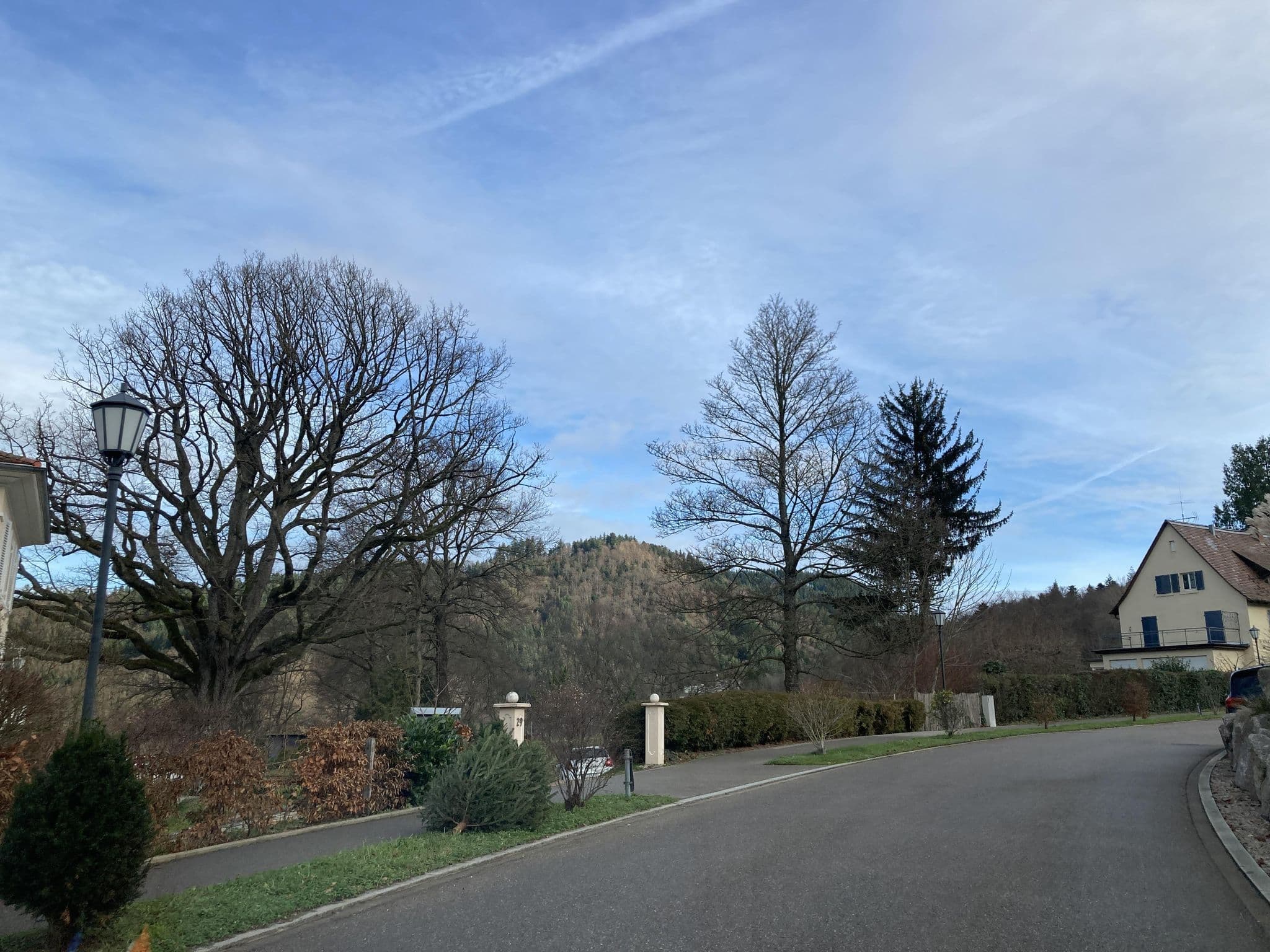 Street view near Residenz-Hotel Vogesenblick, Badenweiler — © tasmaniadevil (CC BY-SA · Mapillary)