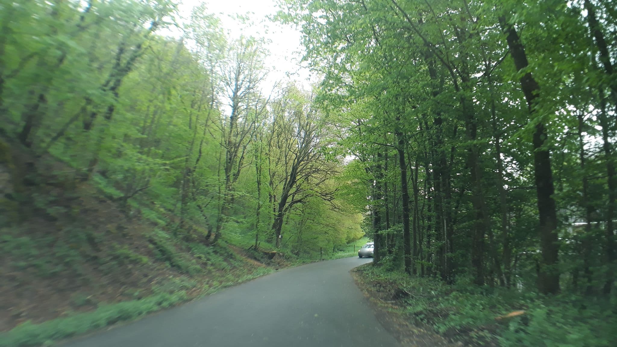 Street view near Jugendzeltplatz Nettersheim, Nettersheim — © tobiasreg (CC BY-SA · Mapillary)
