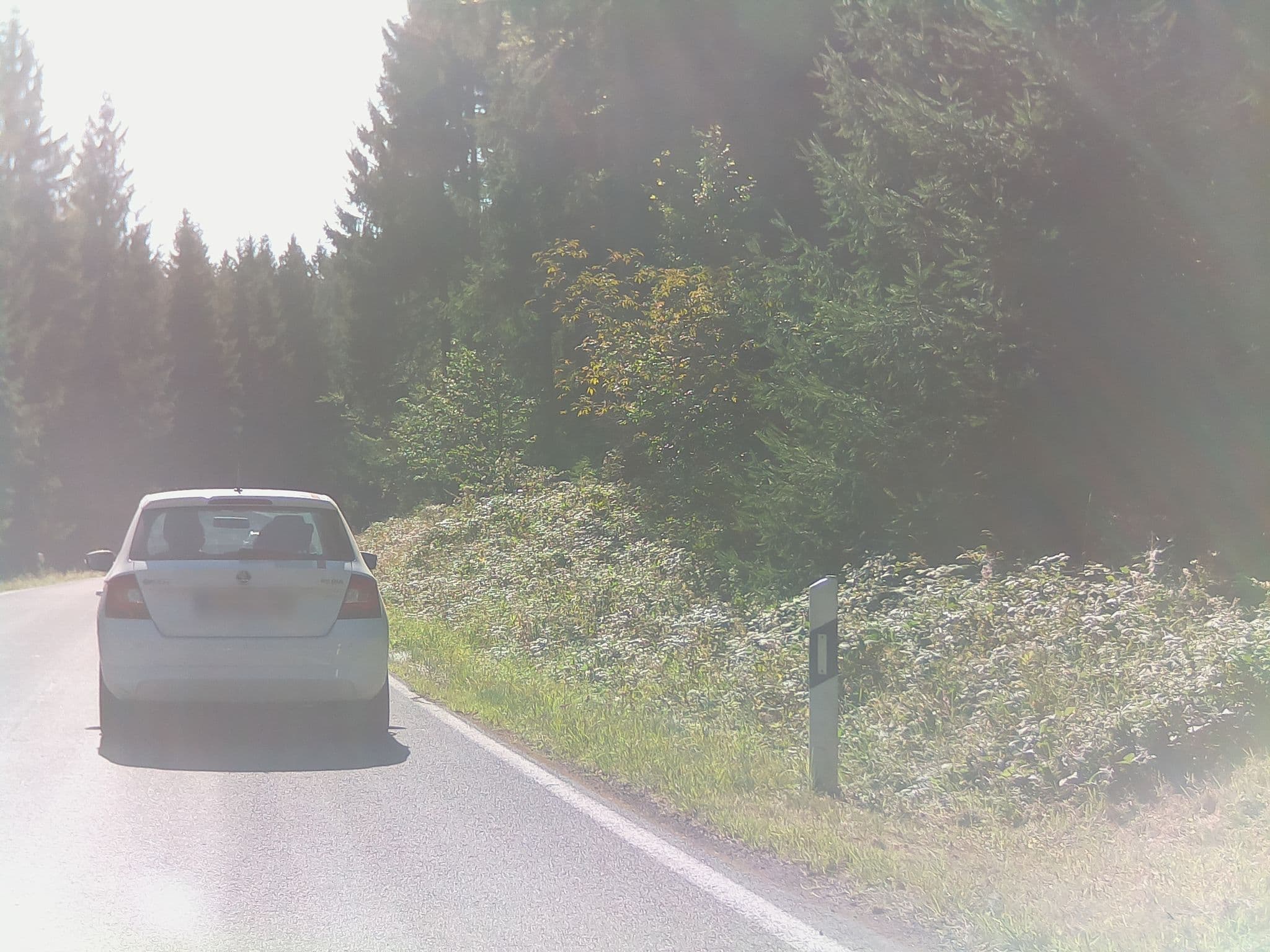 Street view near Skihütte Allzunah, Frauenwald — © ramap (CC BY-SA · Mapillary)