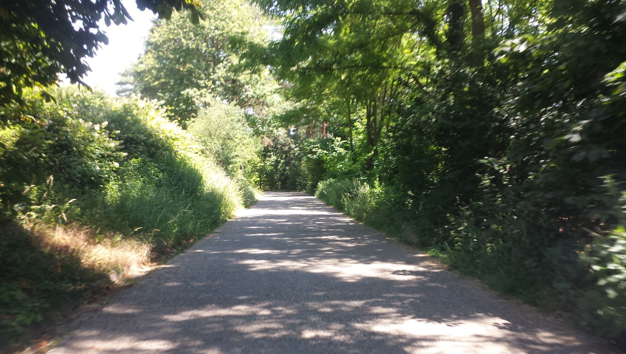 Street view near Am alten Rebenhang, Ilbesheim — © wegavision (CC BY-SA · Mapillary)