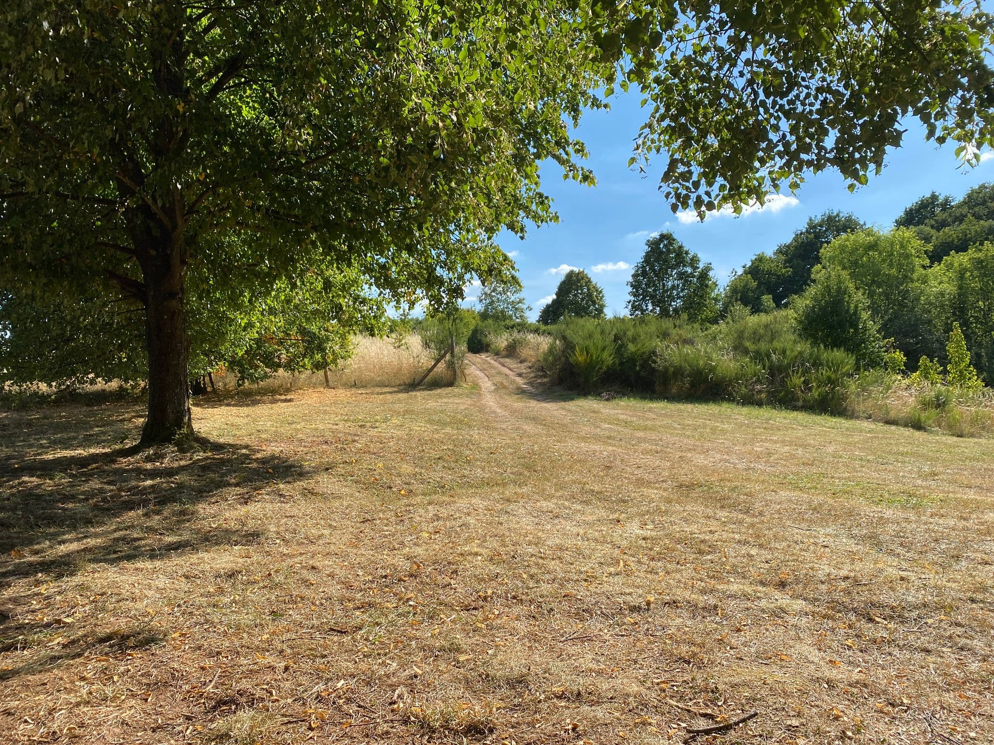 Street view near Trekking Pfalz: Frankelbach, Olsbrücken — © hikingstefan (CC BY-SA · Mapillary)