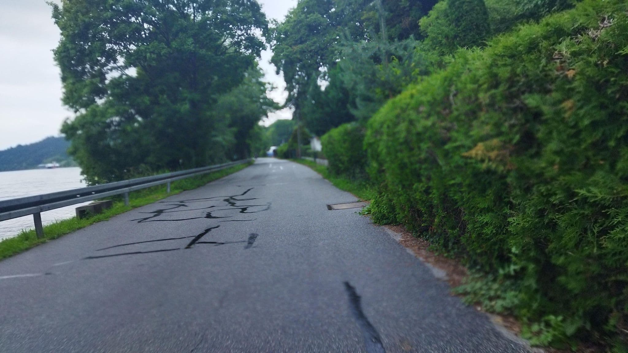 Street view near Campingplatz Donaulände Poikam, Bad Abbach — © changchun1 (CC BY-SA · Mapillary)