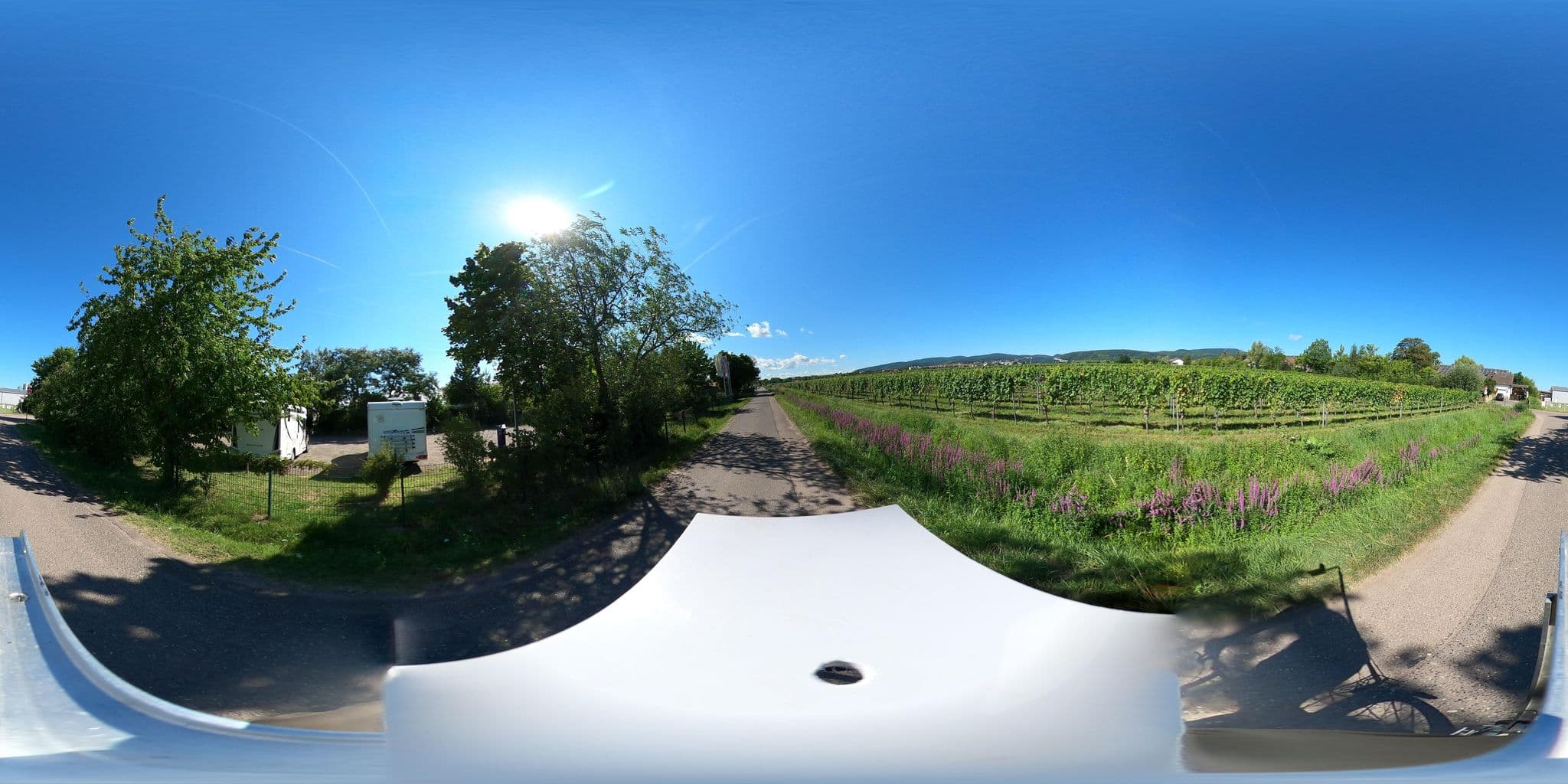 Street view near KNAUS Campingpark Bad Dürkheim - Reisemobilstellplatz, Bad Dürkheim — © wegavision (CC BY-SA · Mapillary)