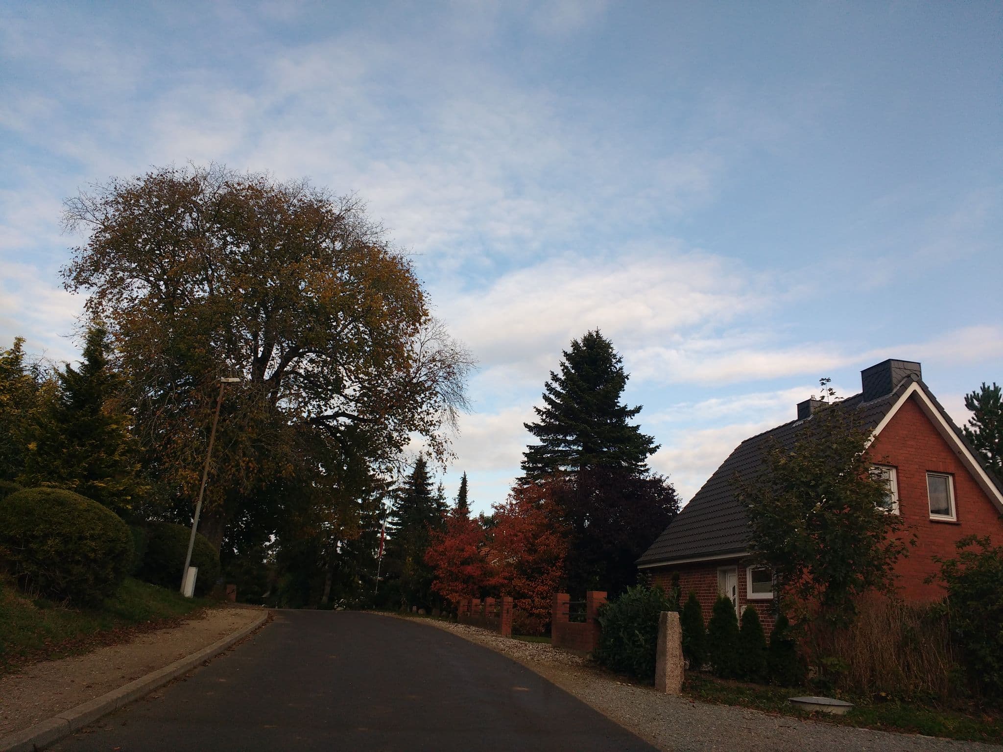 Street view near Ferienhof Wiesengrund, Wangels — © thetornado76 (CC BY-SA · Mapillary)