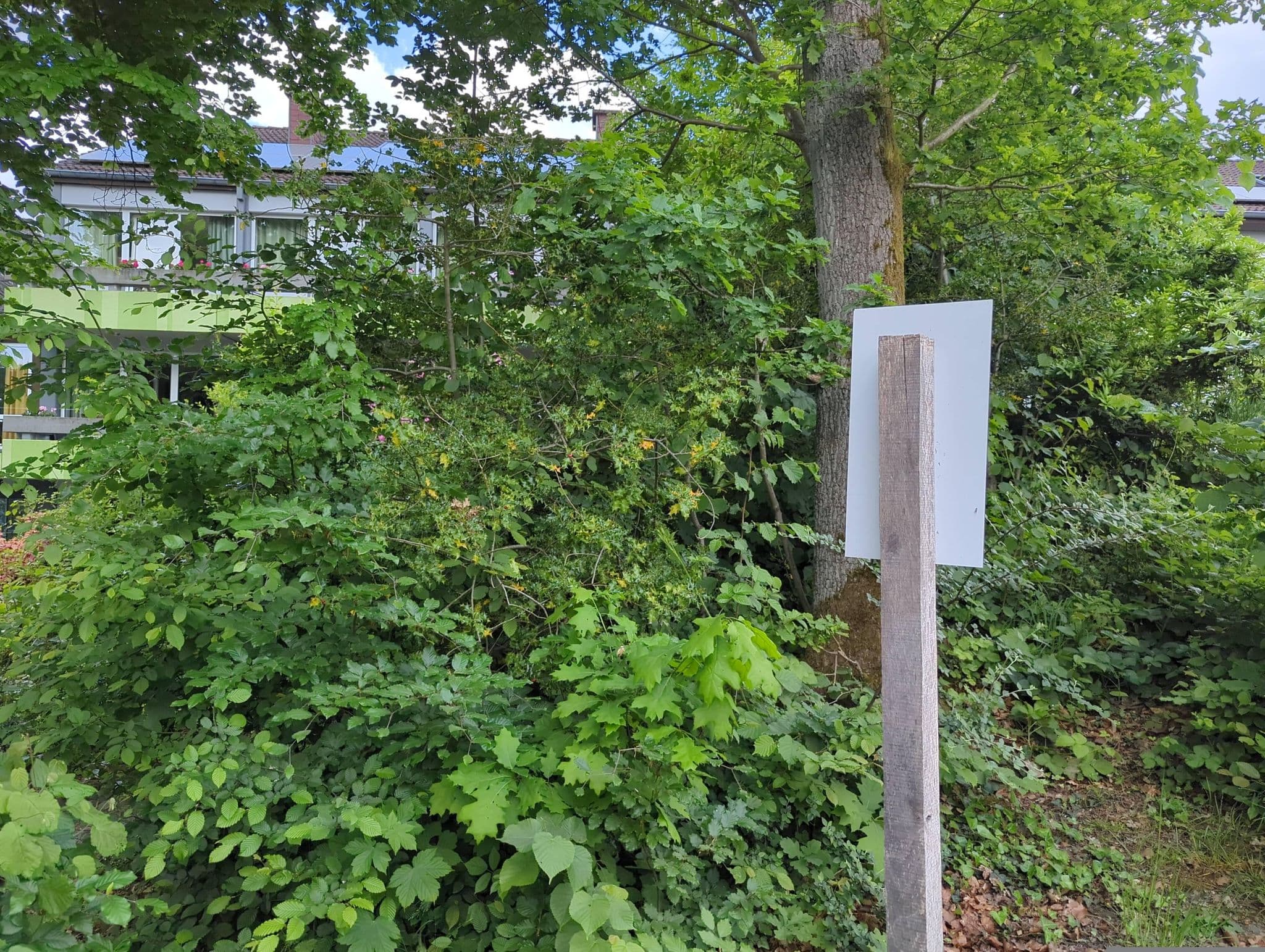 Street view near Waldhaus, Hattingen — © hotteliene (CC BY-SA · Mapillary)