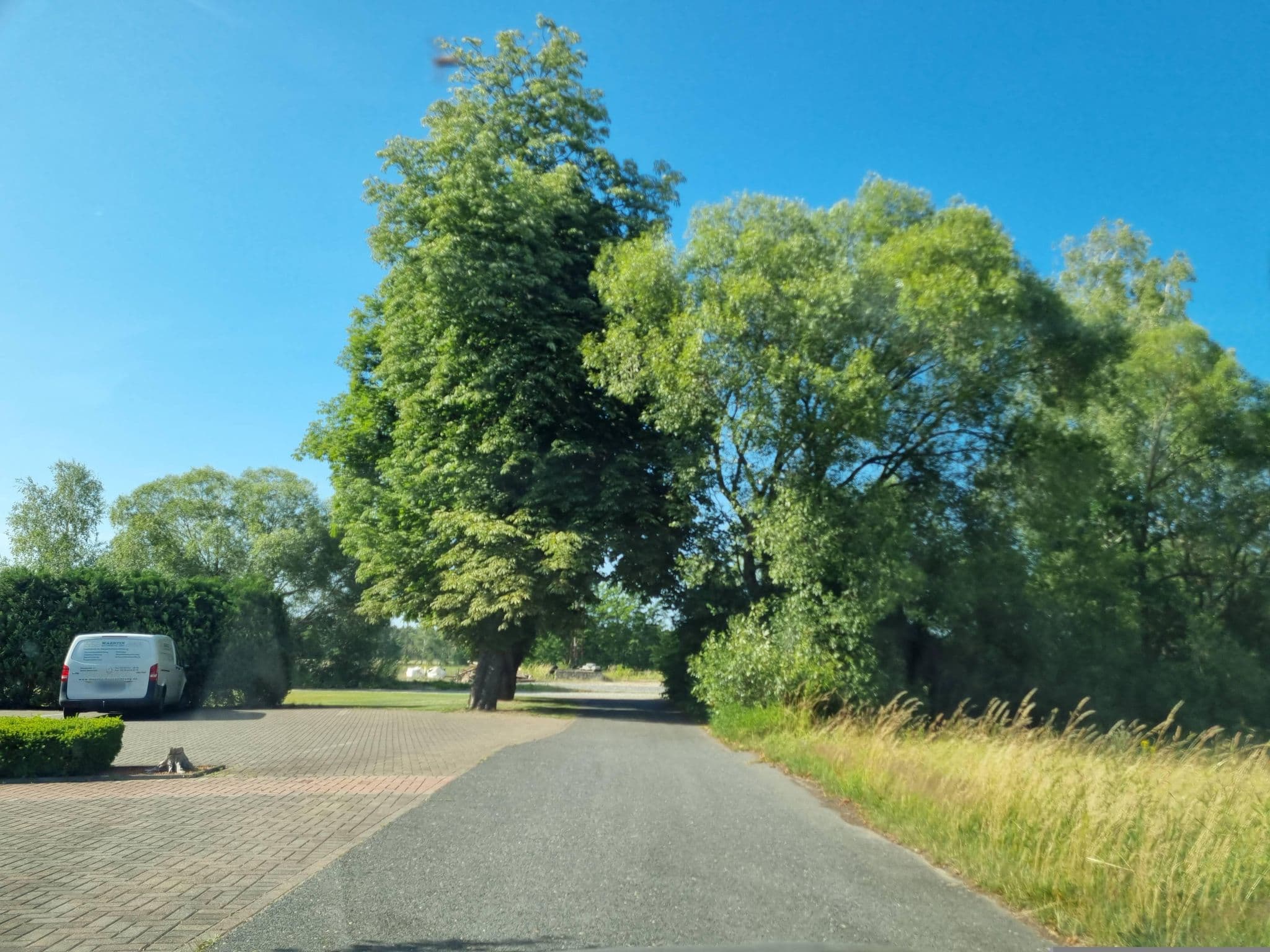 Street view near Pension Seidel, Uebigau — © dsmm (CC BY-SA · Mapillary)