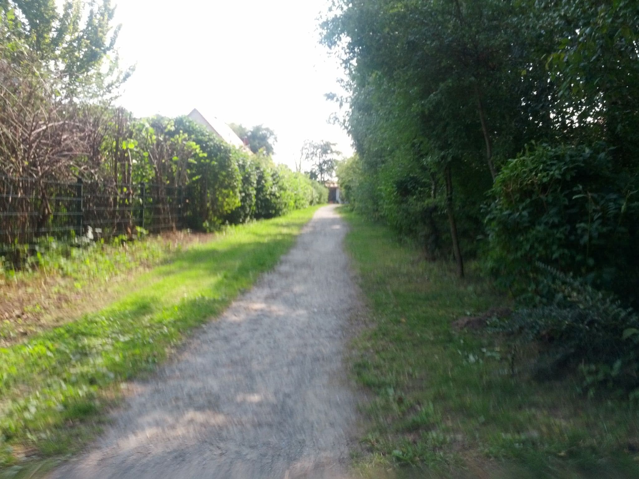 Street view near Haus 12, Bastorf — © zoegglmeyr (CC BY-SA · Mapillary)