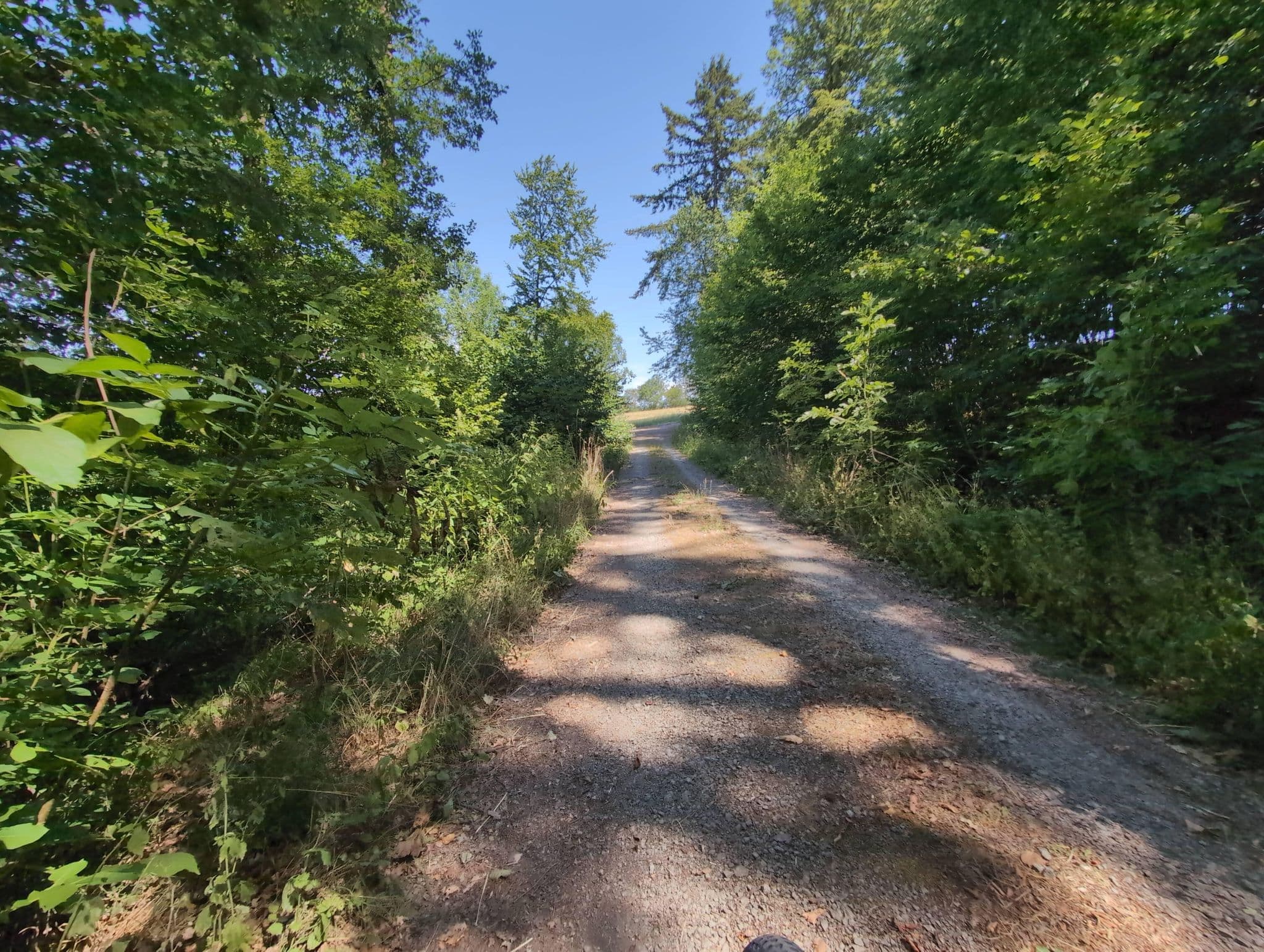 Street view near Bärenhütte, Billigheim — © PixelusPro8 (CC BY-SA · Mapillary)
