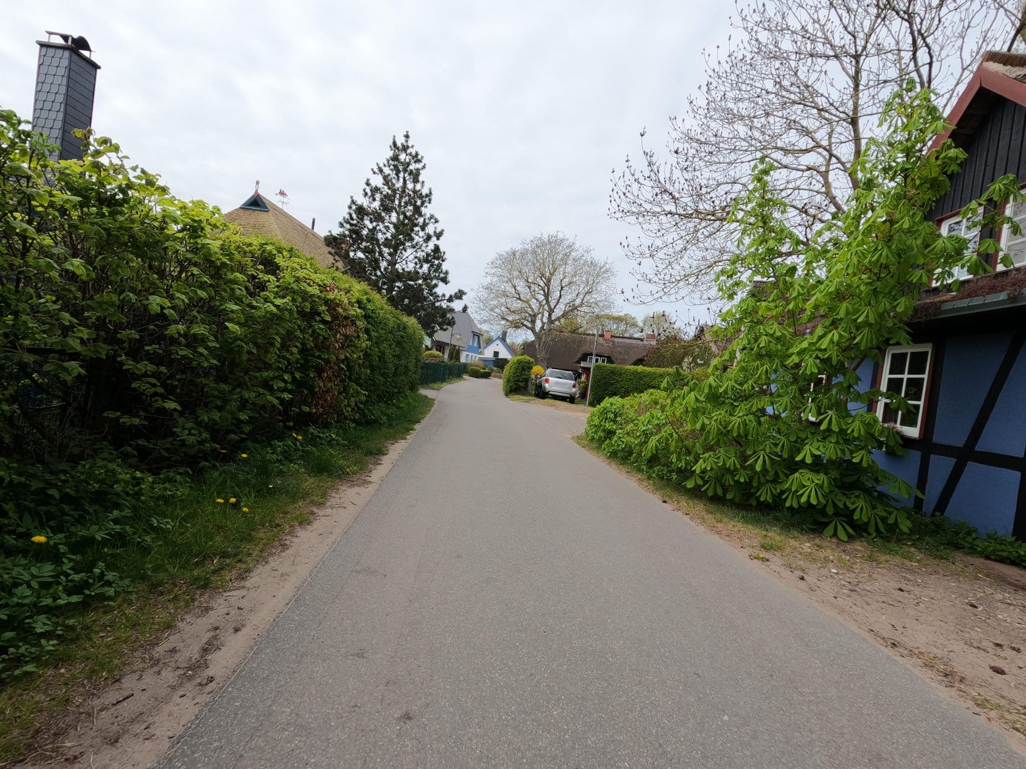 Street view near Haus Antje, Ostseebad Prerow — © hektor1989 (CC BY-SA · Mapillary)