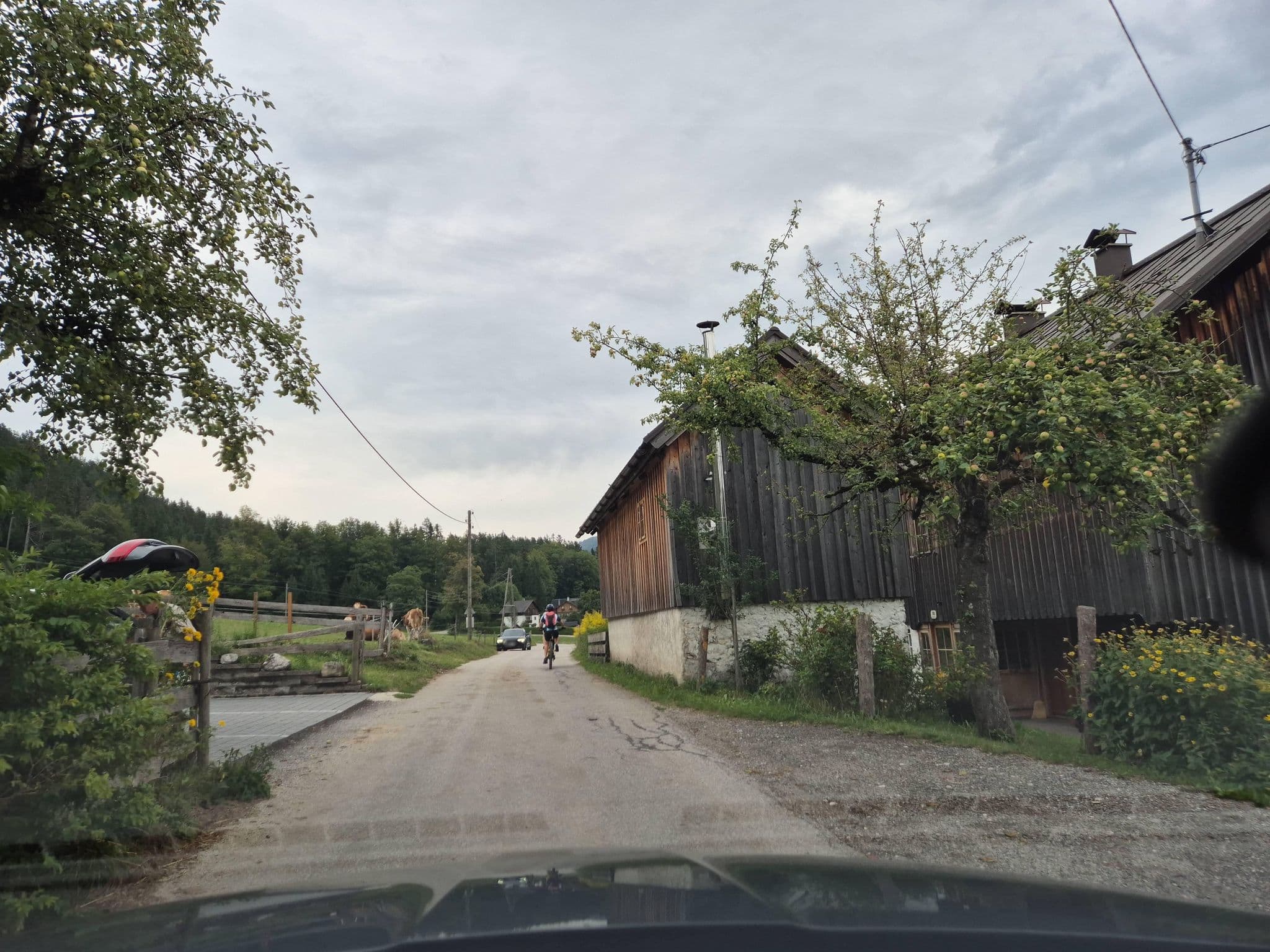 Street view near Pilz - Urlaub am Bauernhof, Bad Aussee — © schermy_at (CC BY-SA · Mapillary)