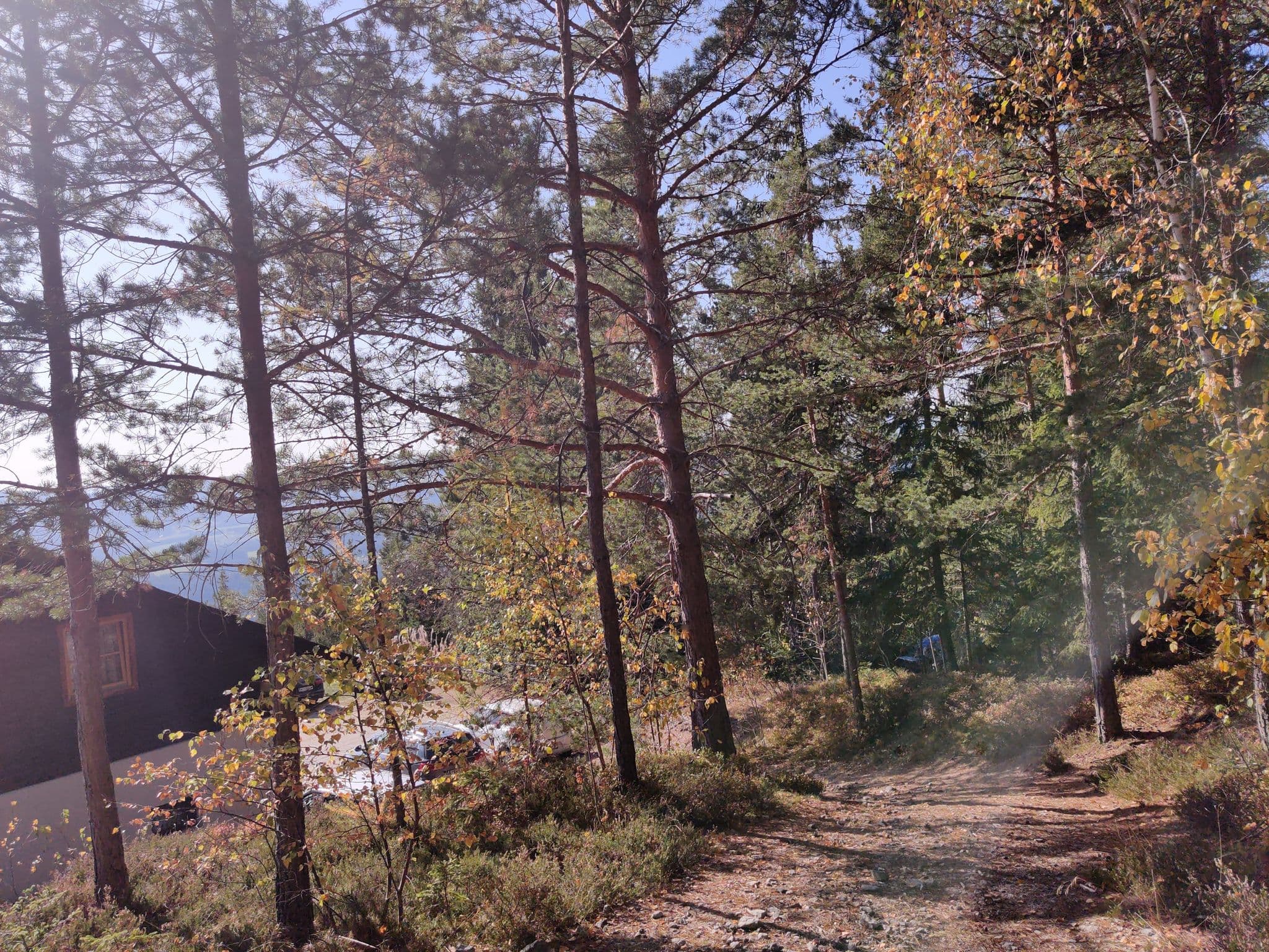 Street view near Arzberghütte, Vorau — © aceini (CC BY-SA · Mapillary)