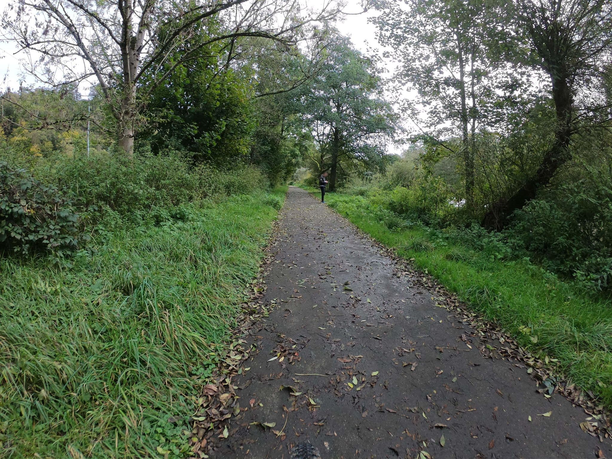 Street view near Wohnmobilstellplatz Herchen, Eitorf — © bernd1960 (CC BY-SA · Mapillary)