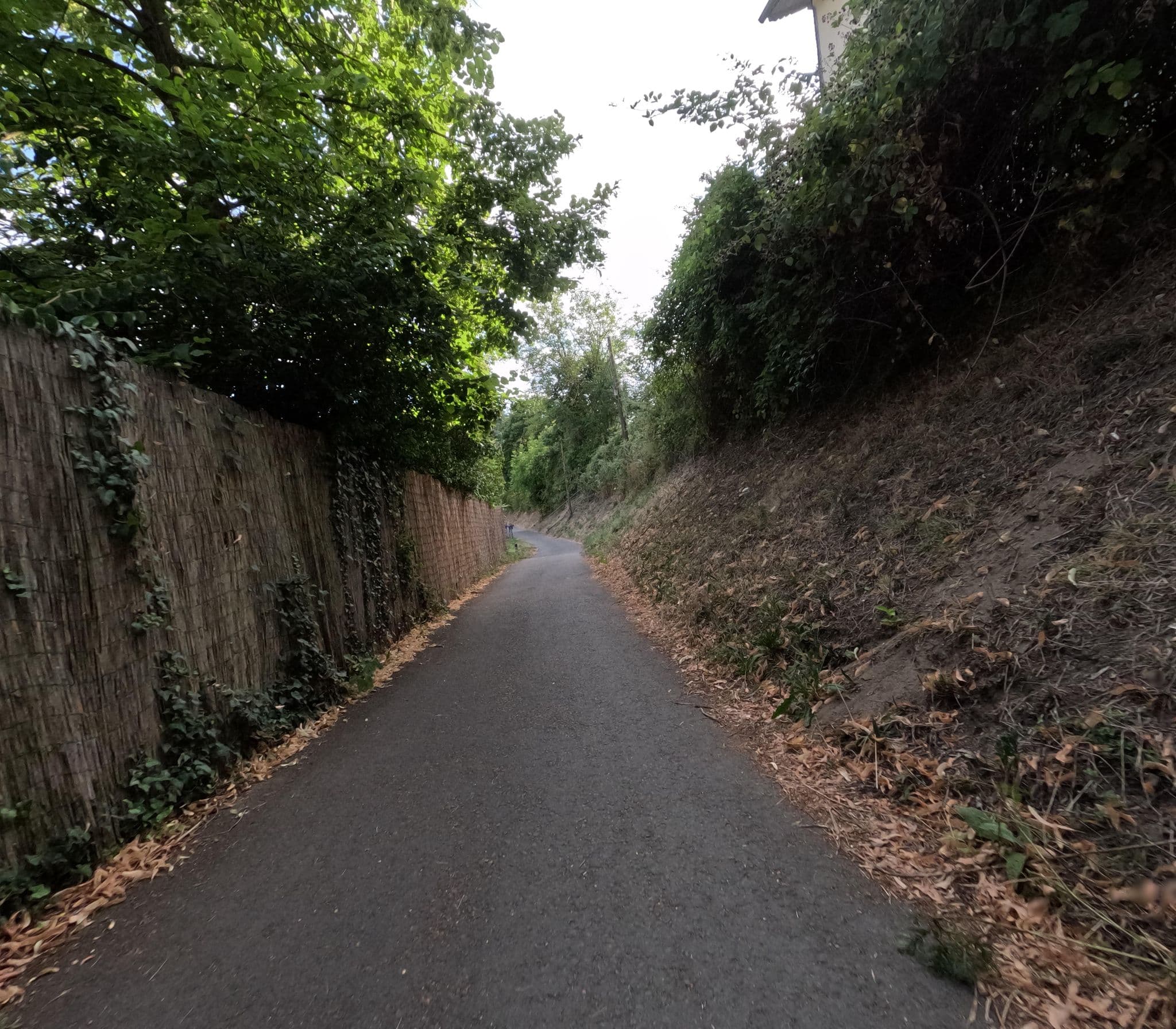 Street view near Luxboot, Lahnstein — © kalcaaro (CC BY-SA · Mapillary)