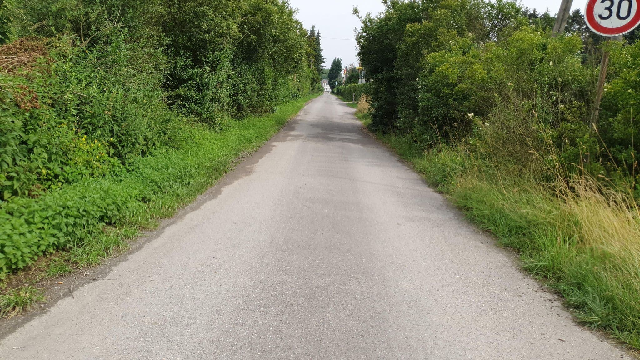Street view near Campingplatz Grind, Zons — © mapforus (CC BY-SA · Mapillary)
