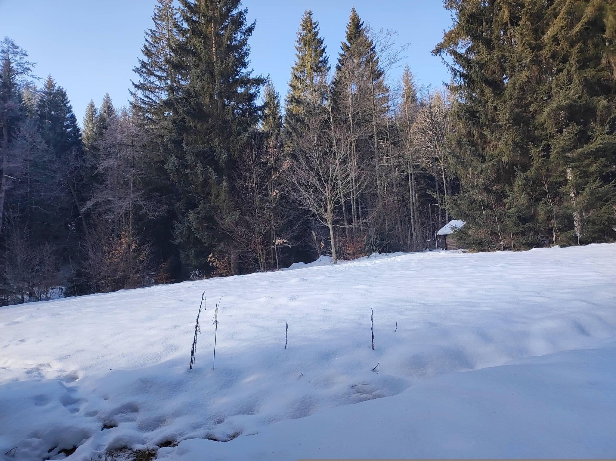 Street view near Jugendzeltplatz, Neuschönau — © msdess (CC BY-SA · Mapillary)