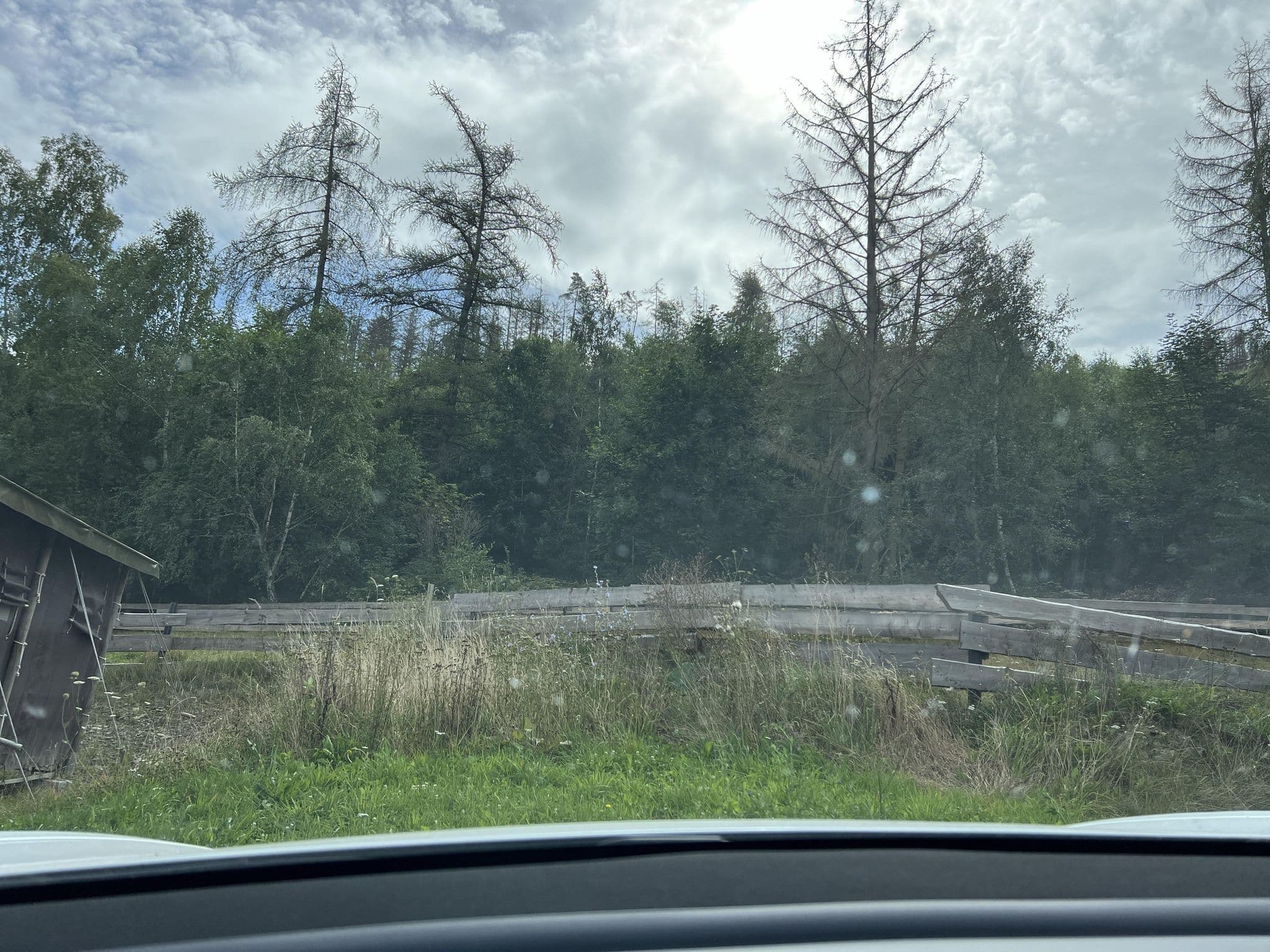 Street view near WiesenBett Hohenwarter Seehof, Ranis — © ottor (CC BY-SA · Mapillary)