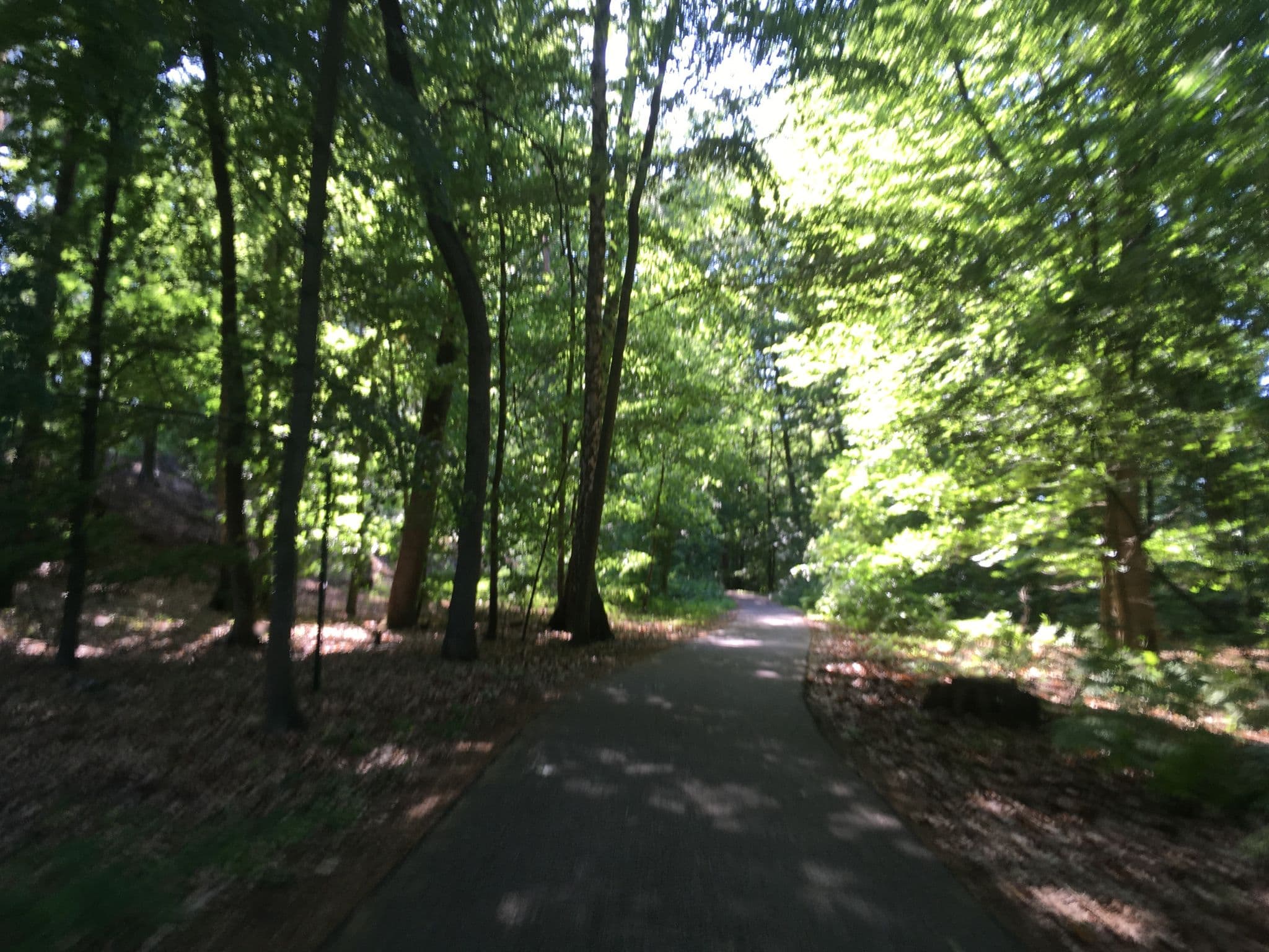 Street view near Bungalow 7, Joachimsthal — © carlheinz (CC BY-SA · Mapillary)