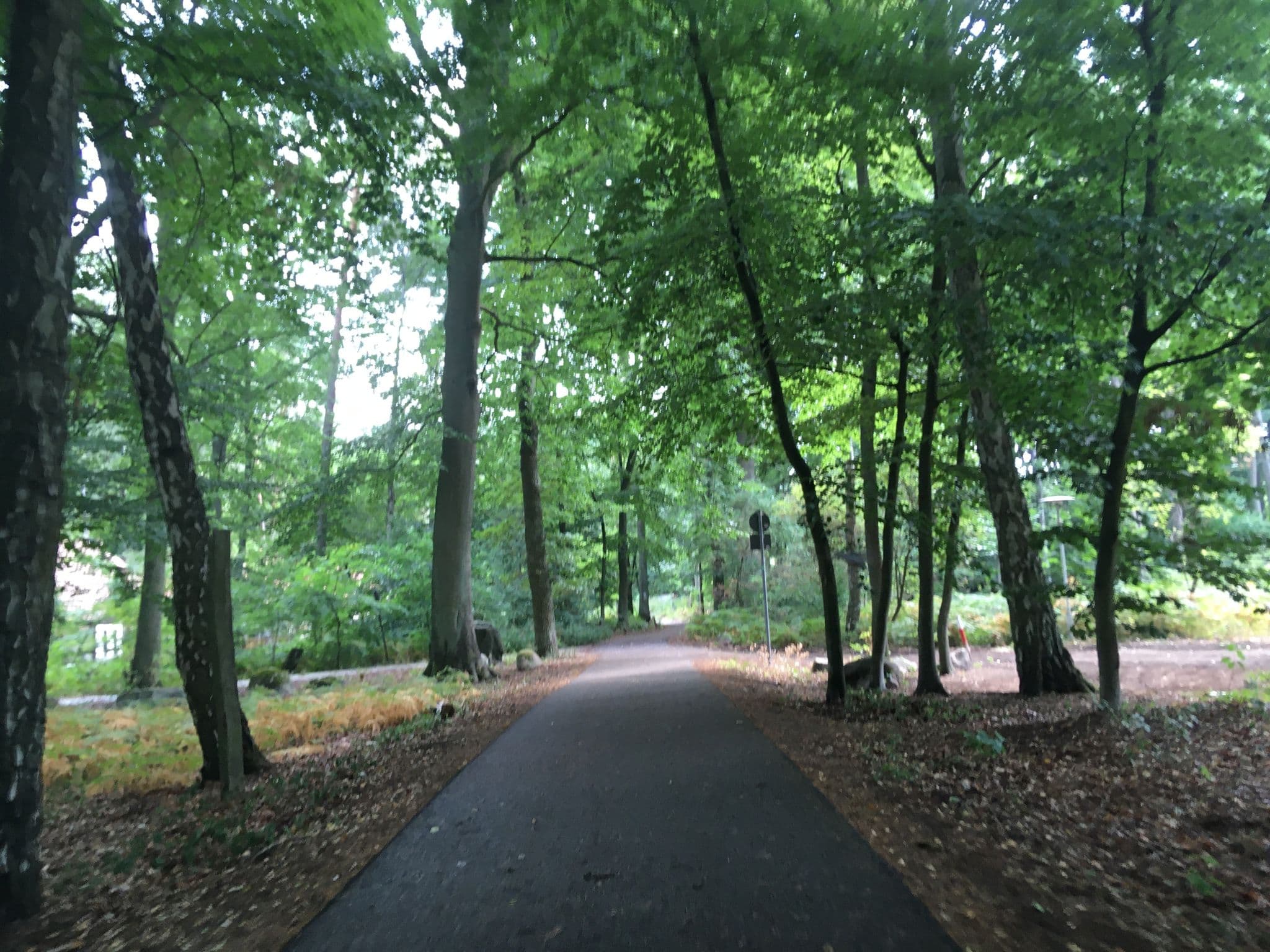 Street view near Bungalow 2, Joachimsthal — © carlheinz (CC BY-SA · Mapillary)