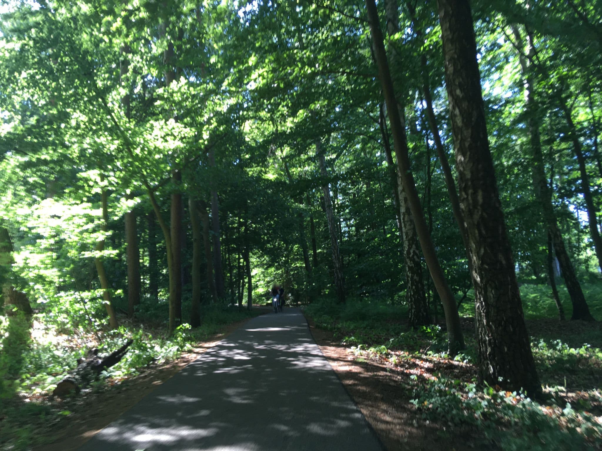 Street view near Bungalow 1, Joachimsthal — © carlheinz (CC BY-SA · Mapillary)