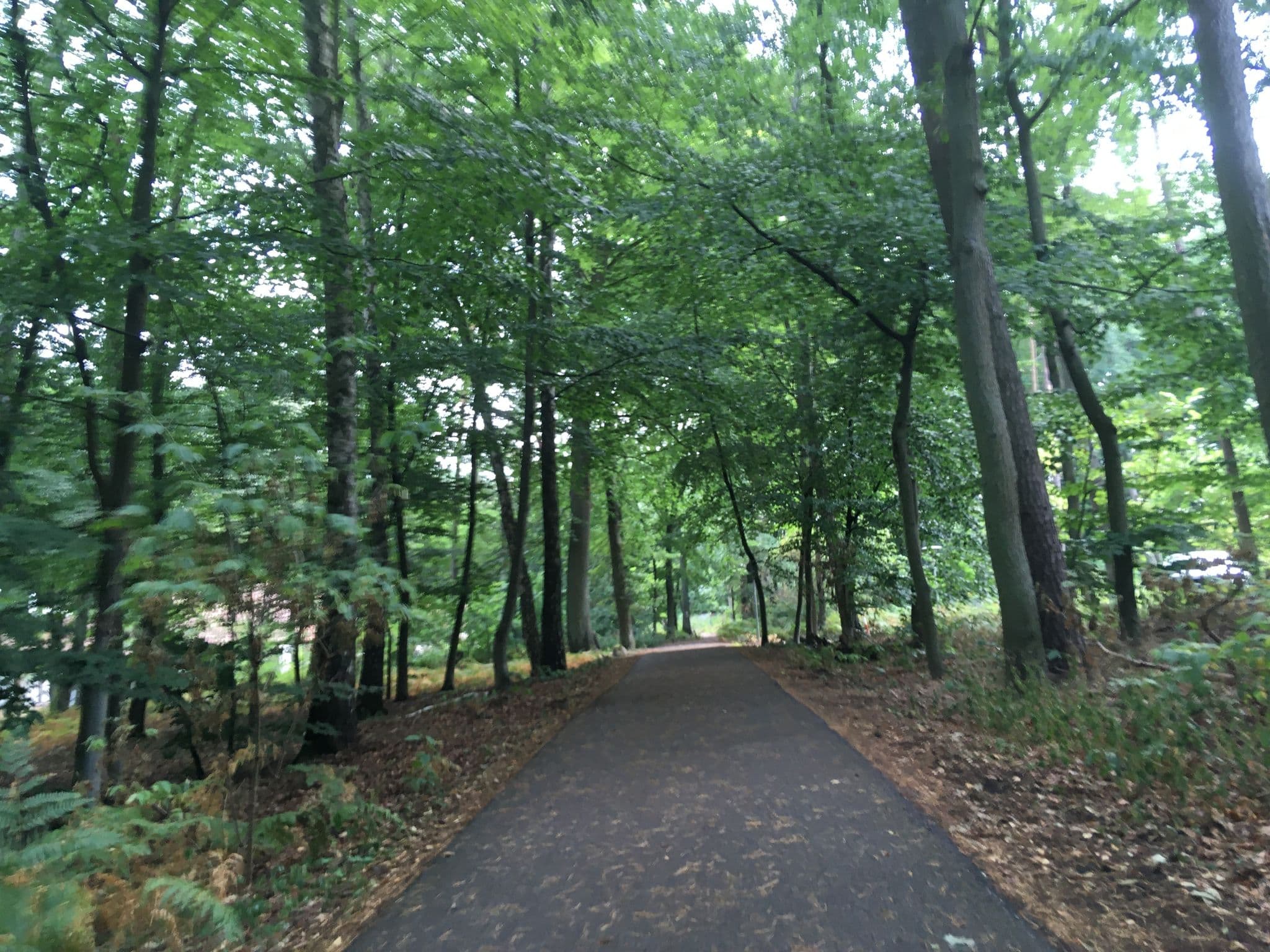 Street view near Bungalow 4, Joachimsthal — © carlheinz (CC BY-SA · Mapillary)