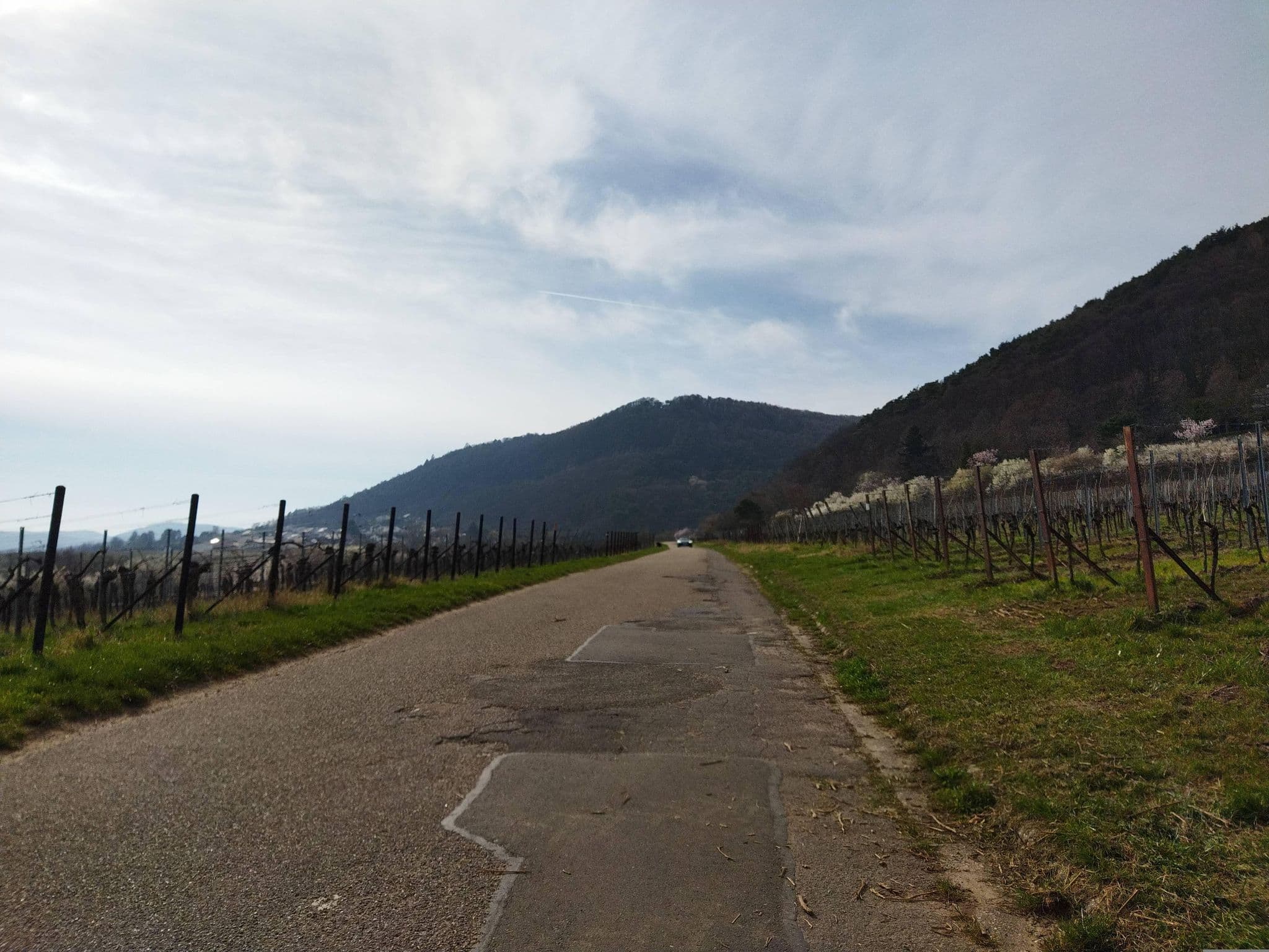 Street view near Winzerhof Am Teufelsberg Wohnmobilstellplatz, Albersweiler — © changchun1 (CC BY-SA · Mapillary)