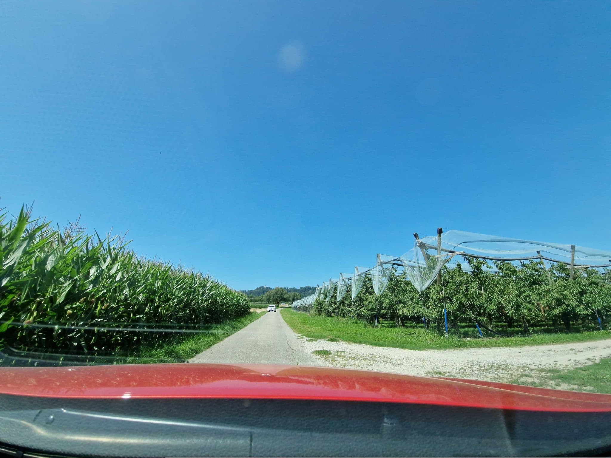 Street view near Elisabethenhof, Frickingen — © mcliquid (CC BY-SA · Mapillary)