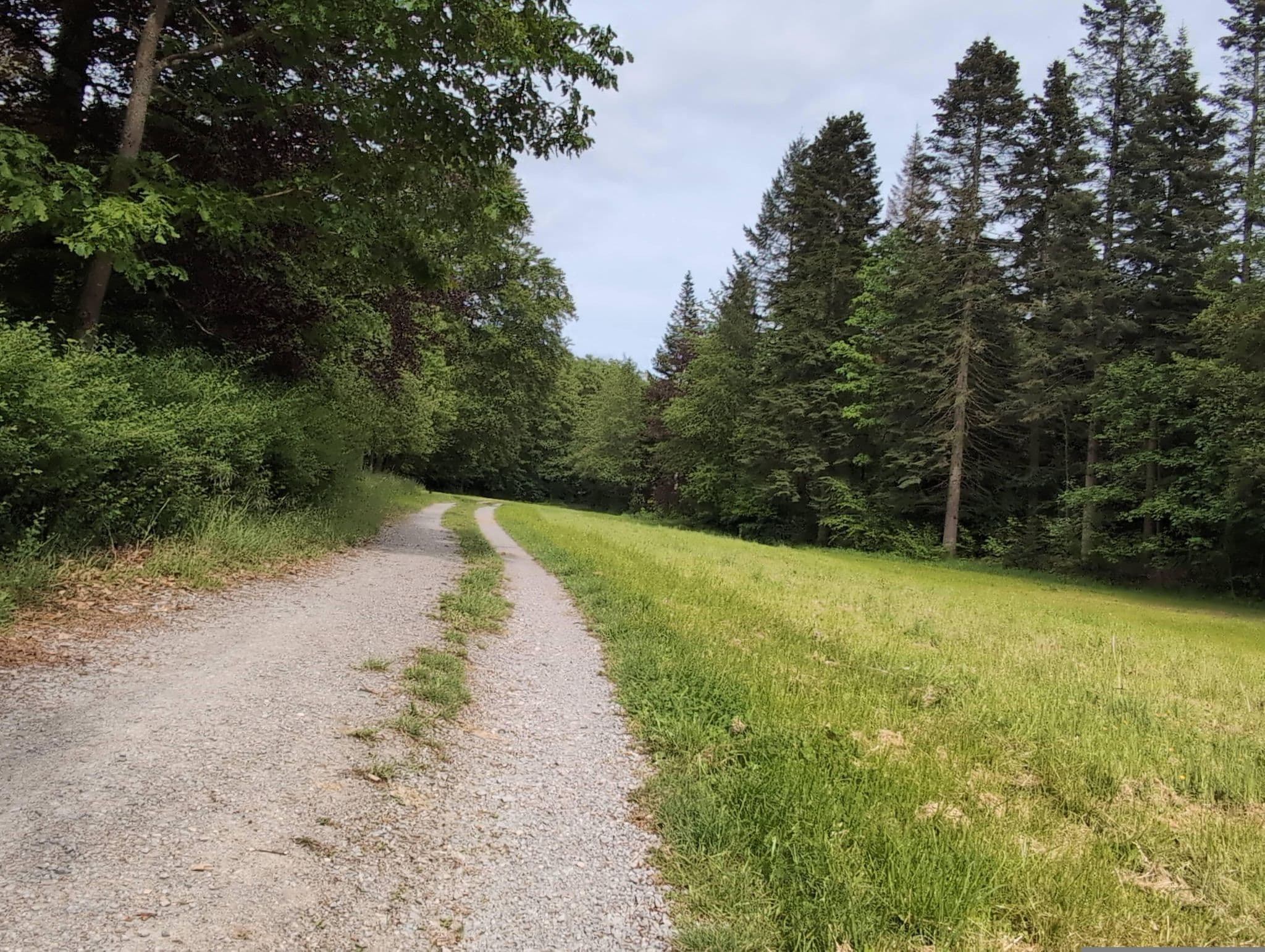 Street view near Waldjugendzeltplatz Lohrbacher Forst, Neckargerach — © PixelusPro8 (CC BY-SA · Mapillary)