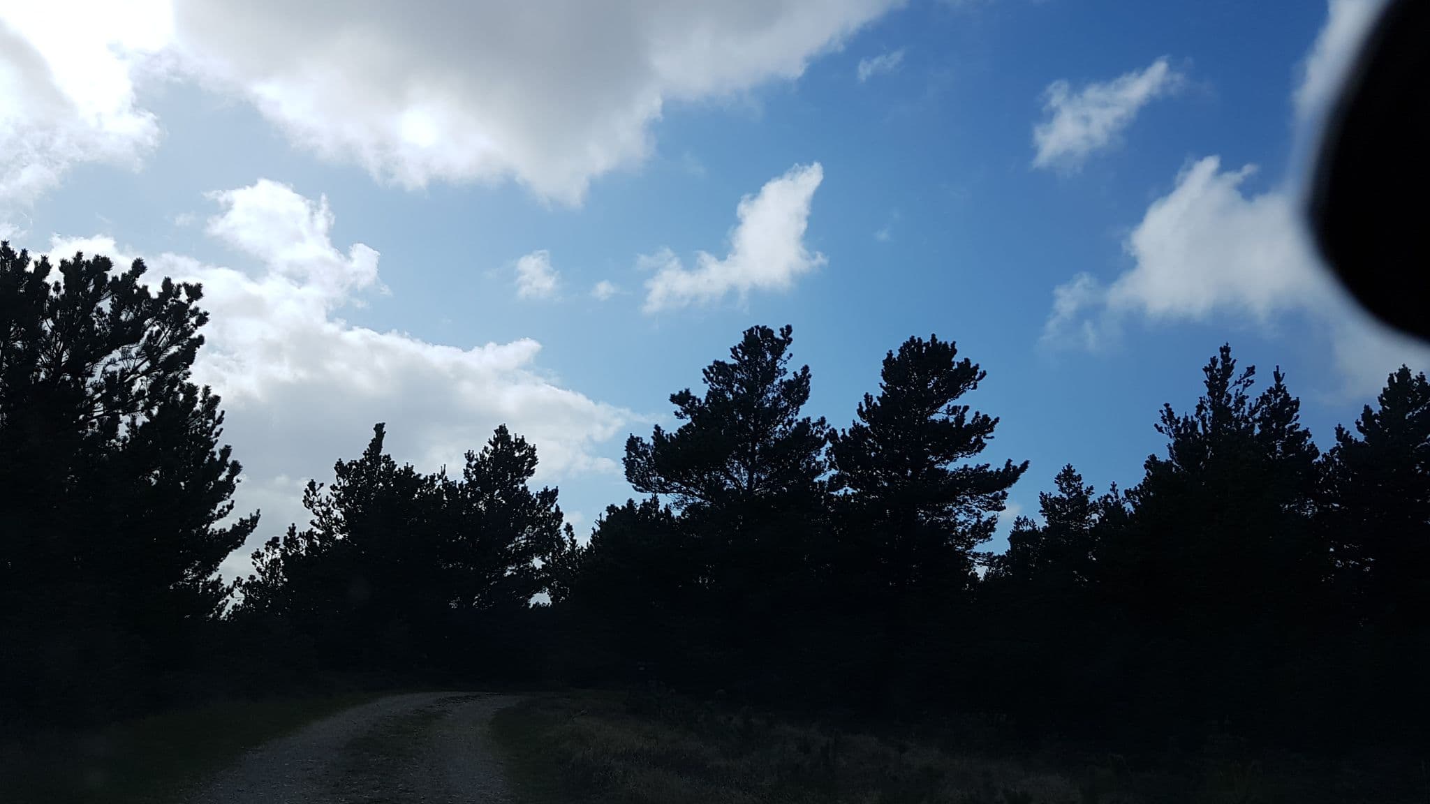 Street view near Stilheden, List — © elgaard (CC BY-SA · Mapillary)