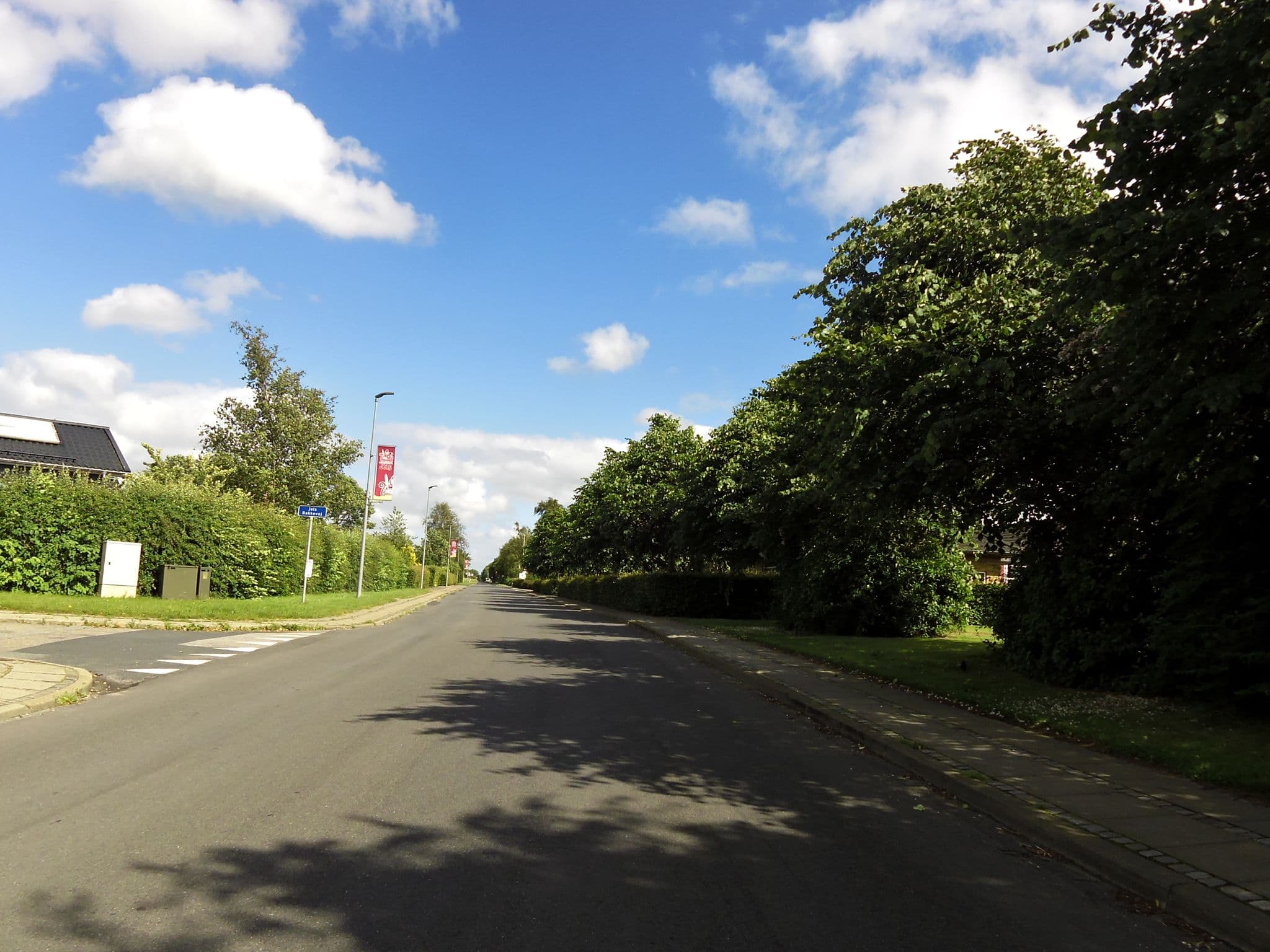Street view near Jels Vandrehjem, Rødding — © hjart (CC BY-SA · Mapillary)