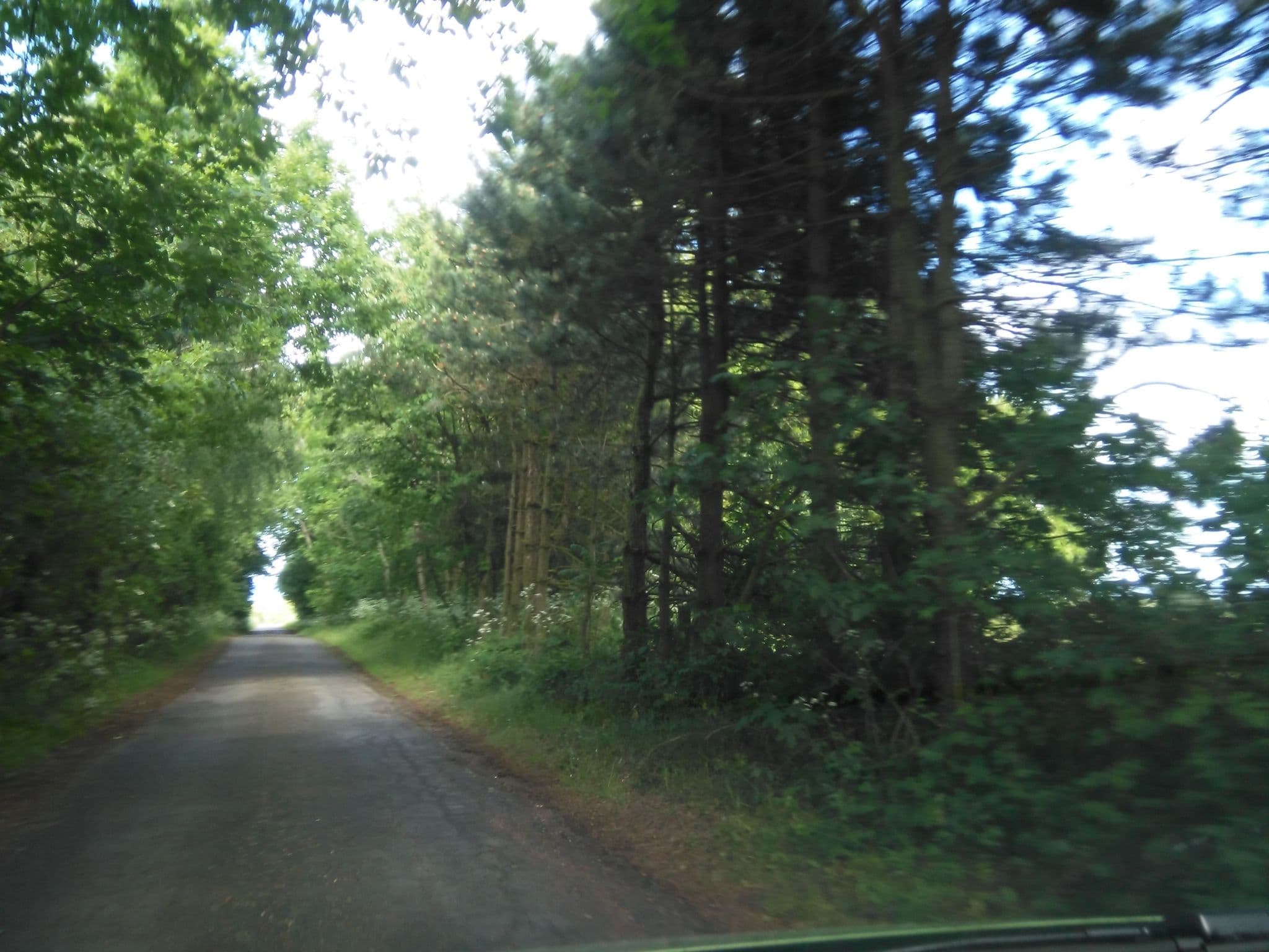 Street view near Ellesgård, Nexø — © nico (CC BY-SA · Mapillary)