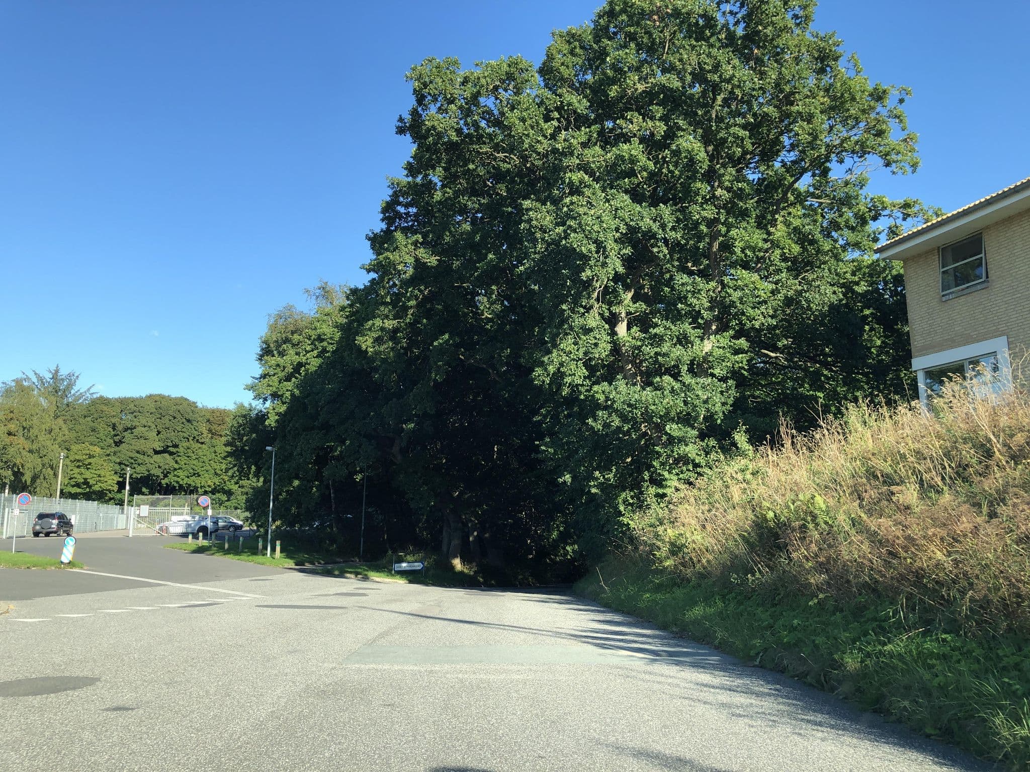 Street view near Danhostel Hobro, Hobro — © peterleth (CC BY-SA · Mapillary)