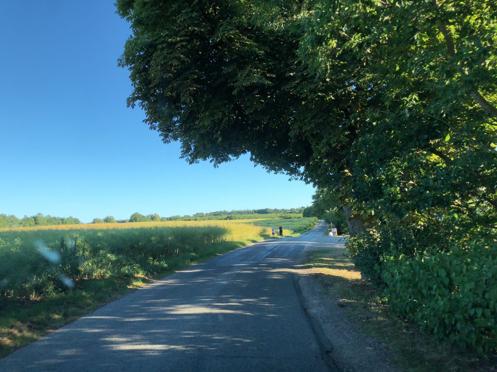 Street view near Tolstrup - Primitiv Teltplads, Gedved — © peterleth (CC BY-SA · Mapillary)