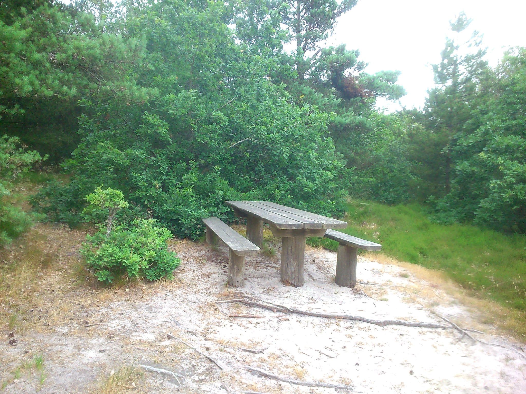 Street view near Kærgård - Primitiv Teltplads, Oksbøl — © dk72 (CC BY-SA · Mapillary)