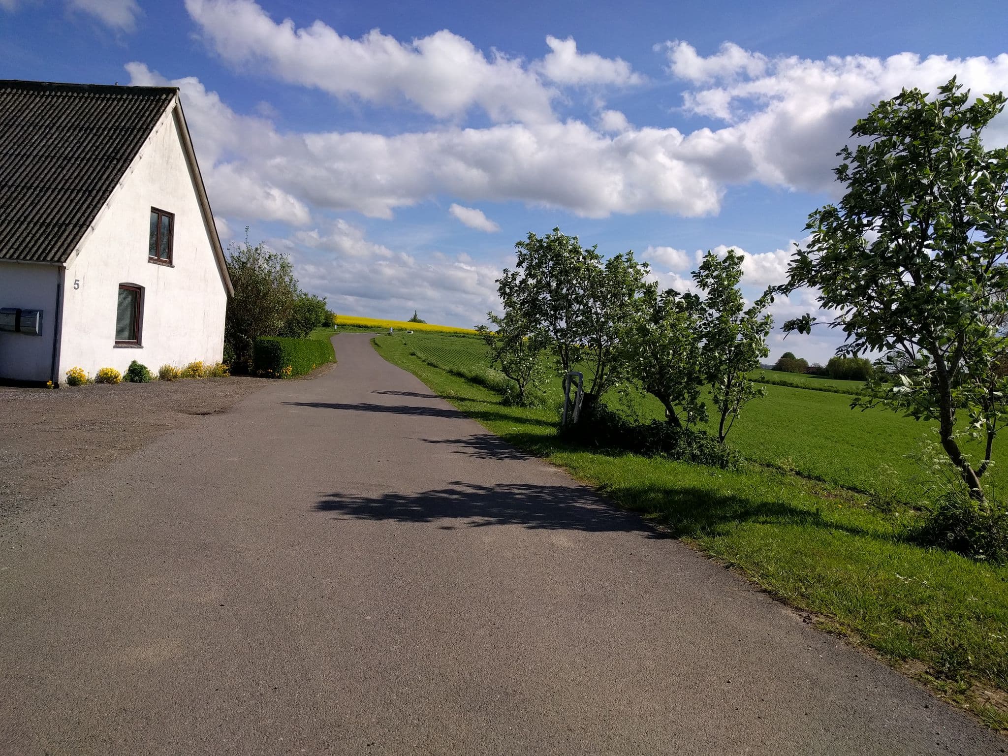 Street view near Blomster og Cafe Stalden, Stubbekøbing — © mszilas (CC BY-SA · Mapillary)