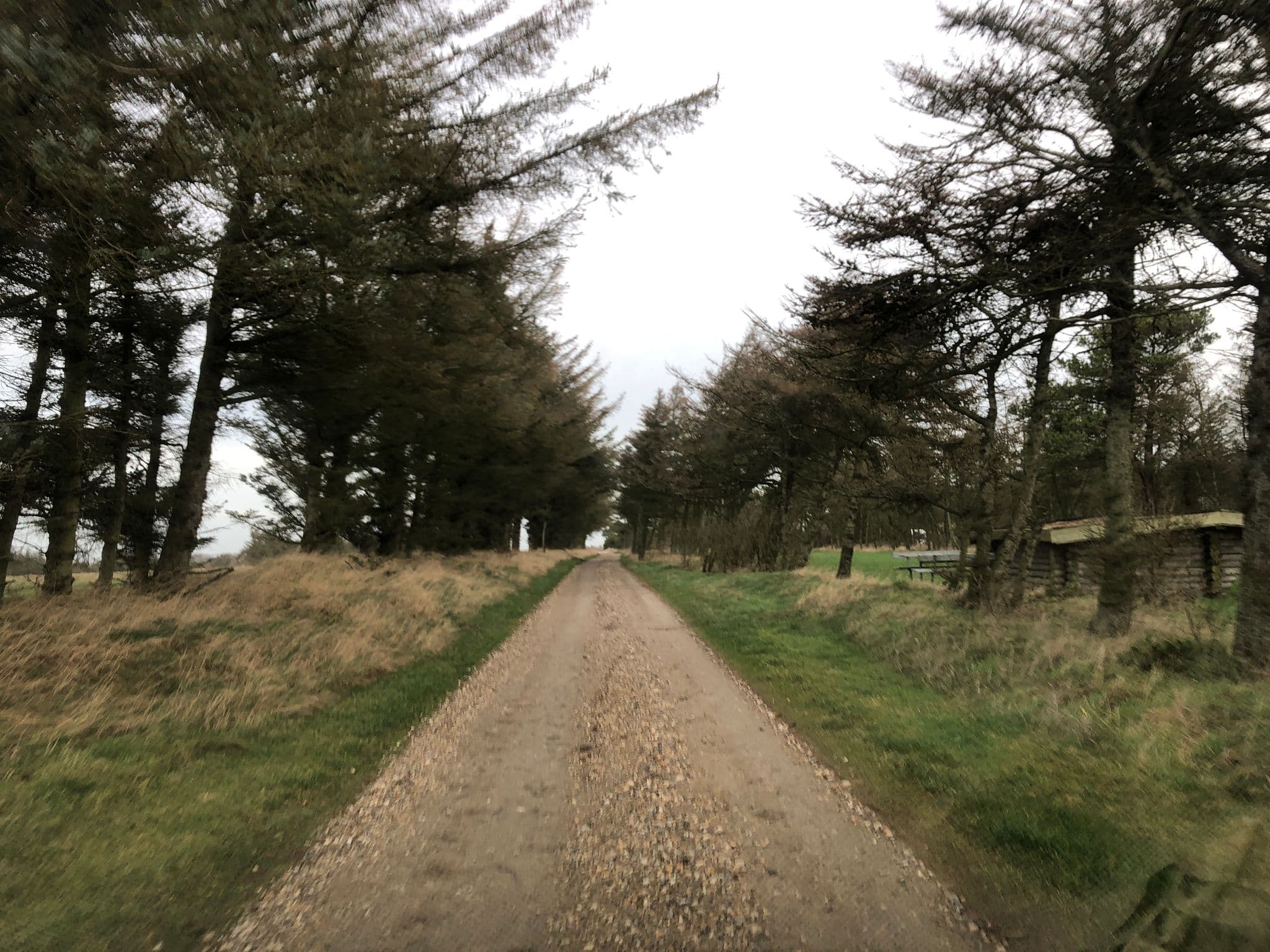 Street view near Alrum Strand Teltplads, Ringkøbing — © peterleth (CC BY-SA · Mapillary)