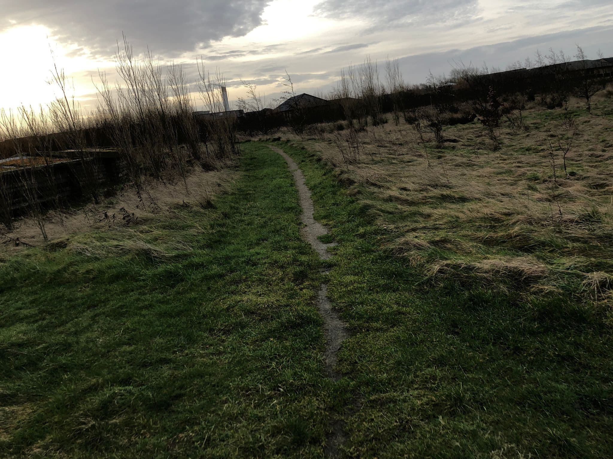 Street view near Ringkøbing Skole - Shelterplads, Ringkøbing — © osmtildig (CC BY-SA · Mapillary)
